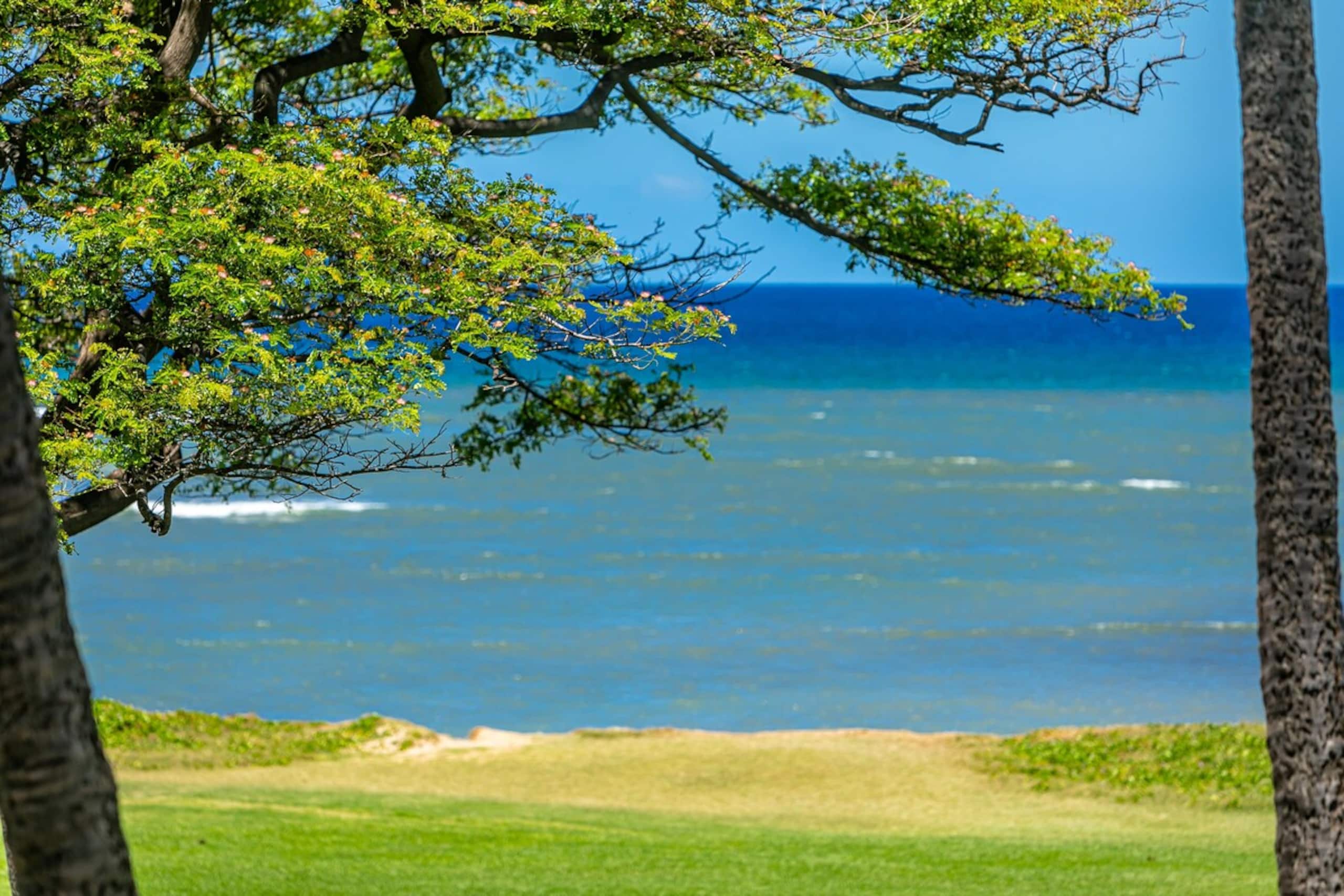 Oceanfront Spectacular Views LEI301 - Photo 20