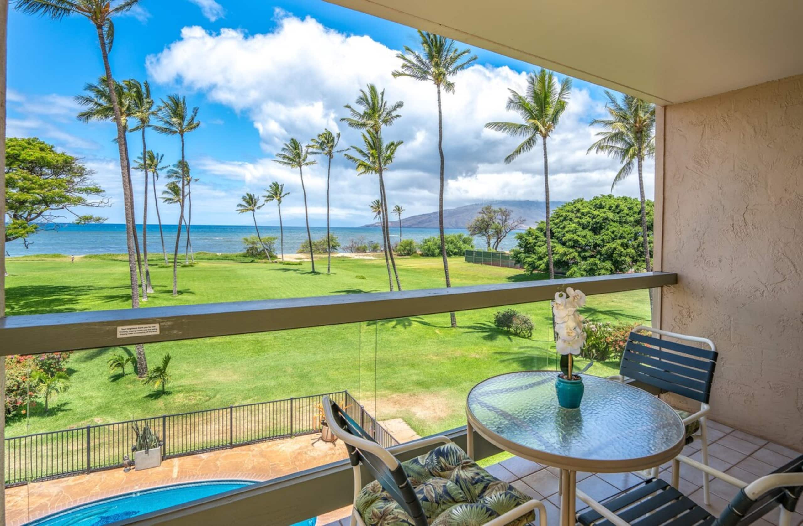 Oceanfront Spectacular Views LEI301 - Photo 19