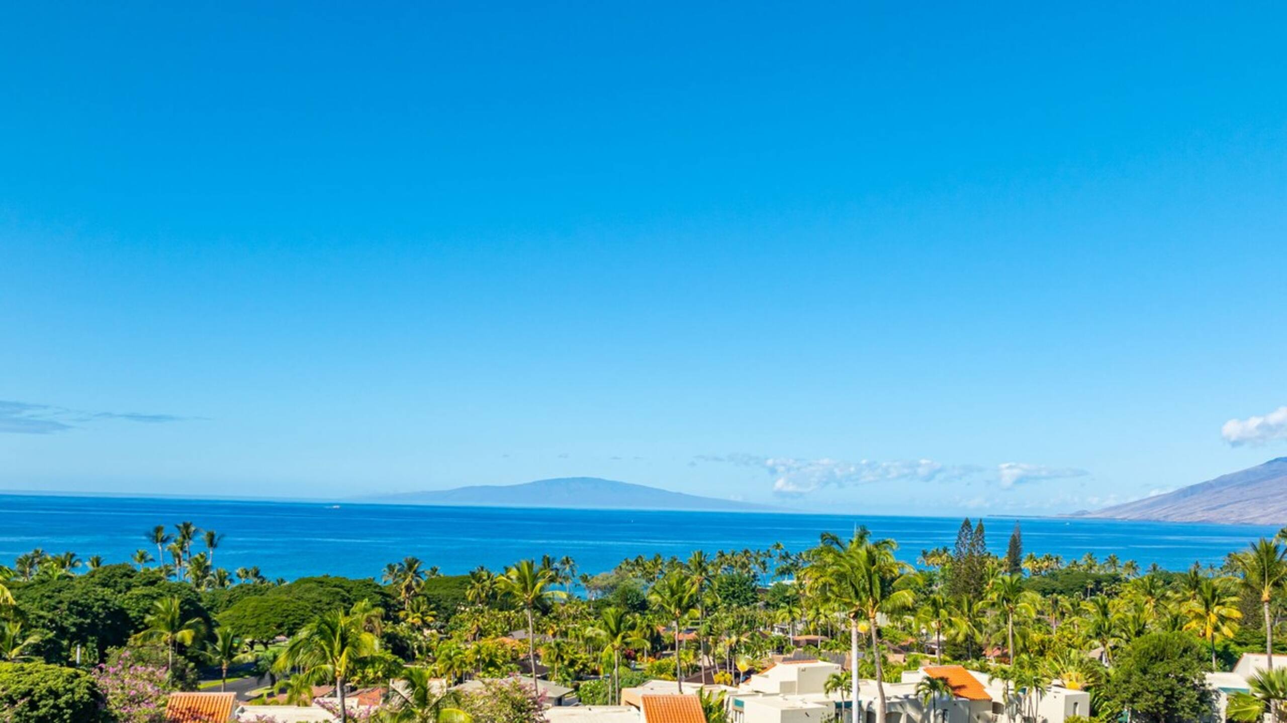 Wailea Ocean View Condo, Pool + Sunset Lanai - Photo 38