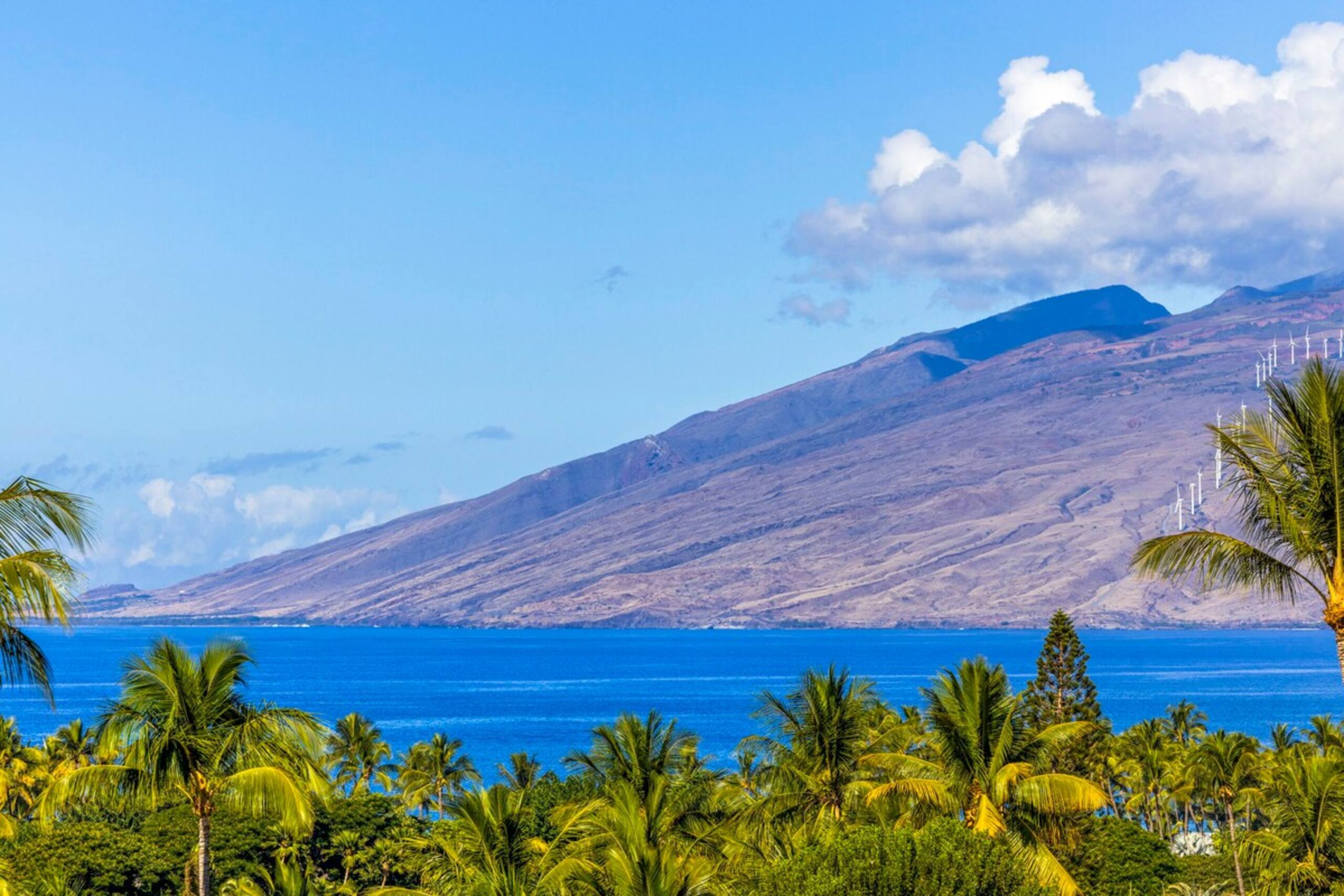 Wailea Ocean View Condo, Pool + Sunset Lanai - Photo 44