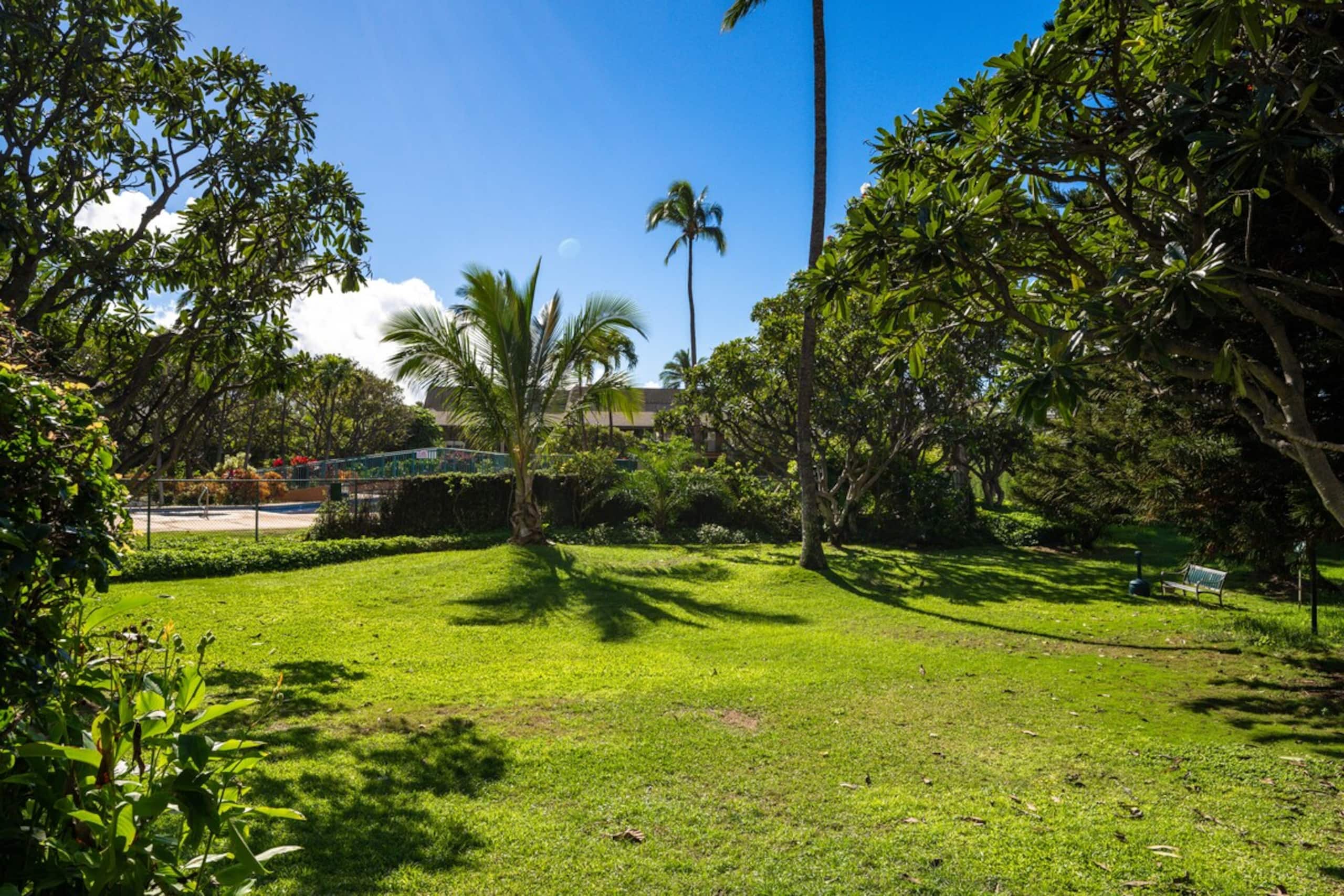 Koa Resort 1B by Gather: Lanai & Pool Near Beach - Photo 25