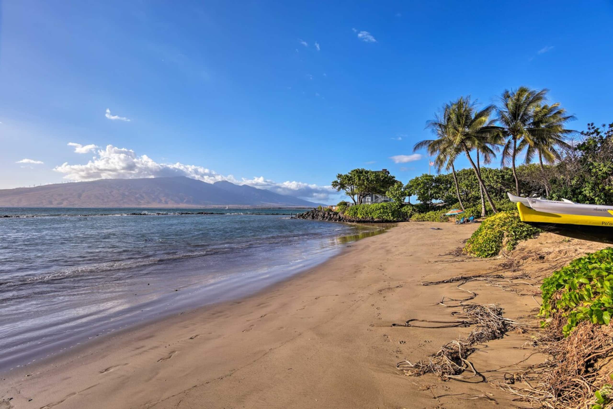 Kihei Condo Steps to Kalepolepo Beach Park - Photo 27