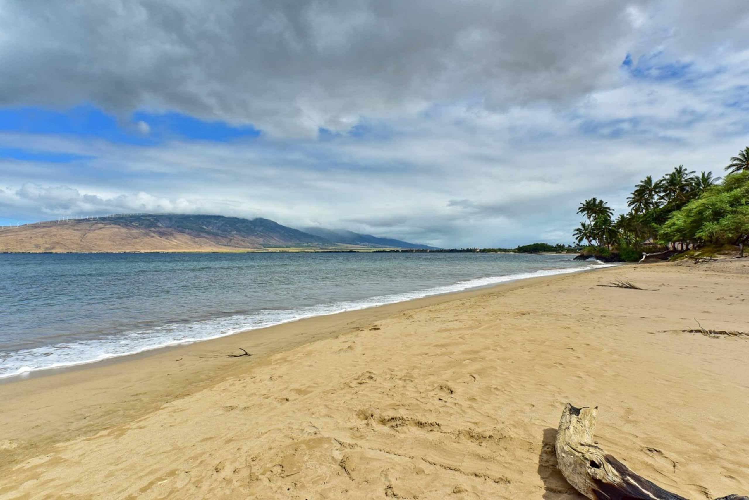 Kihei Condo Steps to Kalepolepo Beach Park - Photo 25