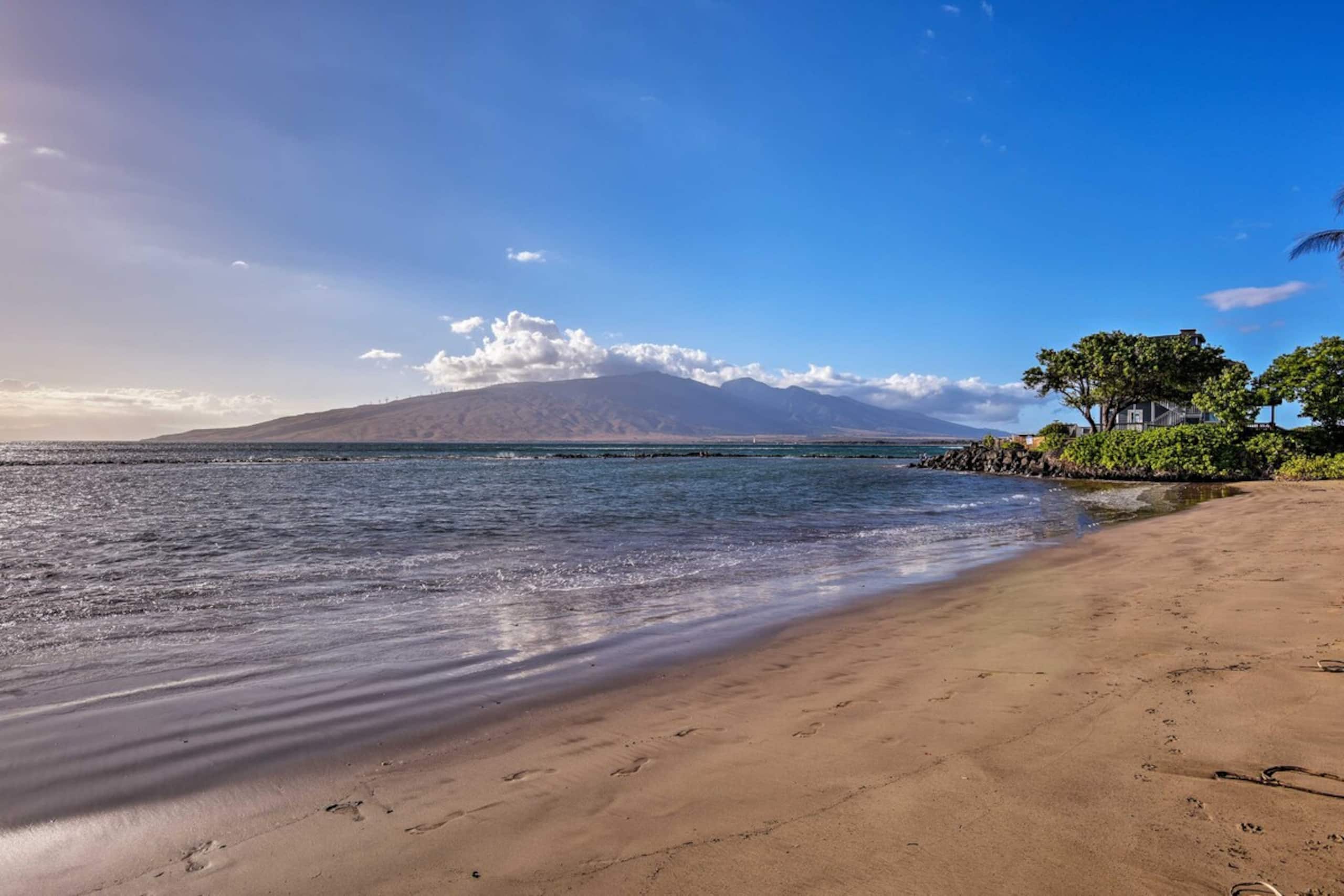 Kihei Condo Steps to Kalepolepo Beach Park - Photo 26