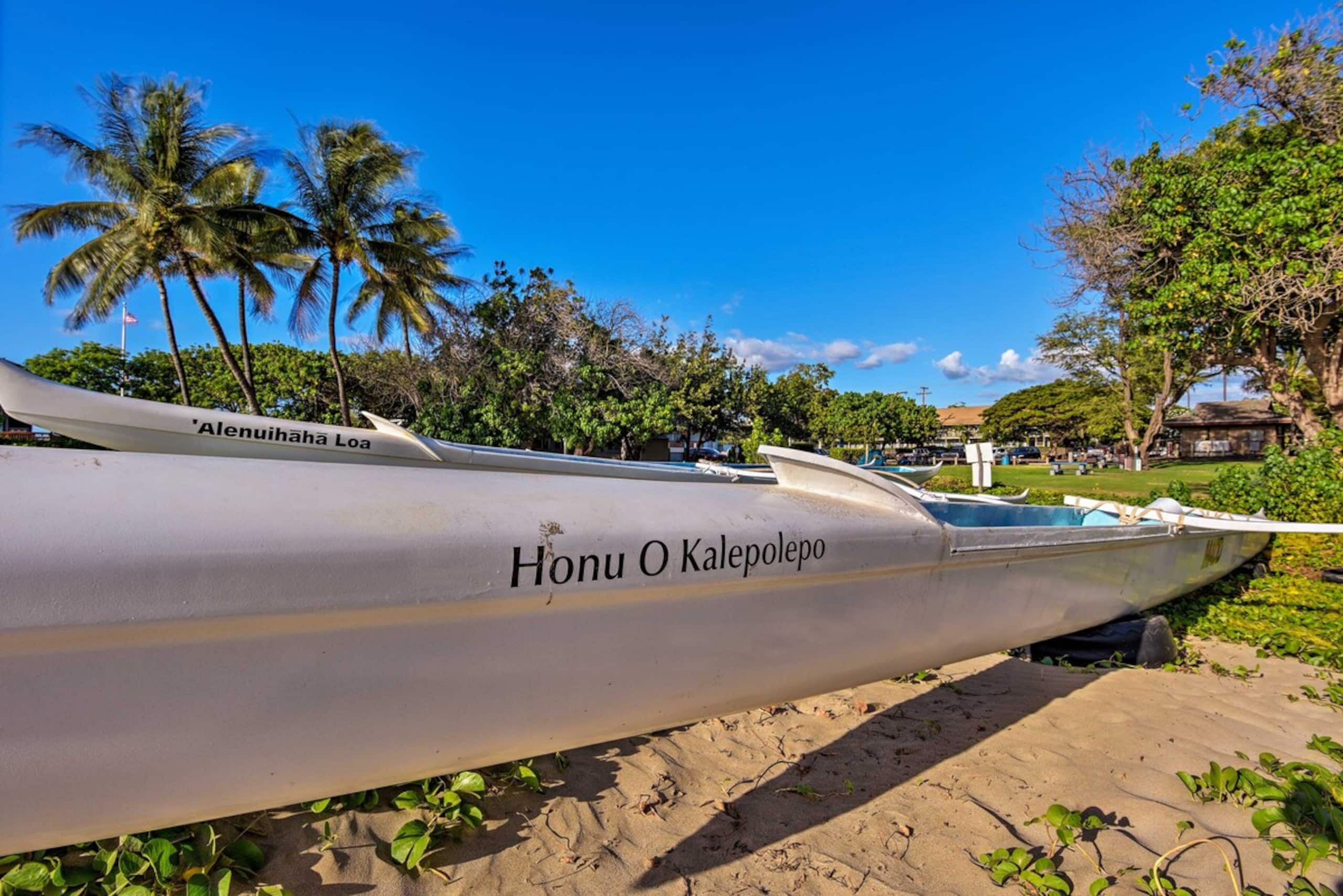Kihei Condo Steps to Kalepolepo Beach Park - Photo 23