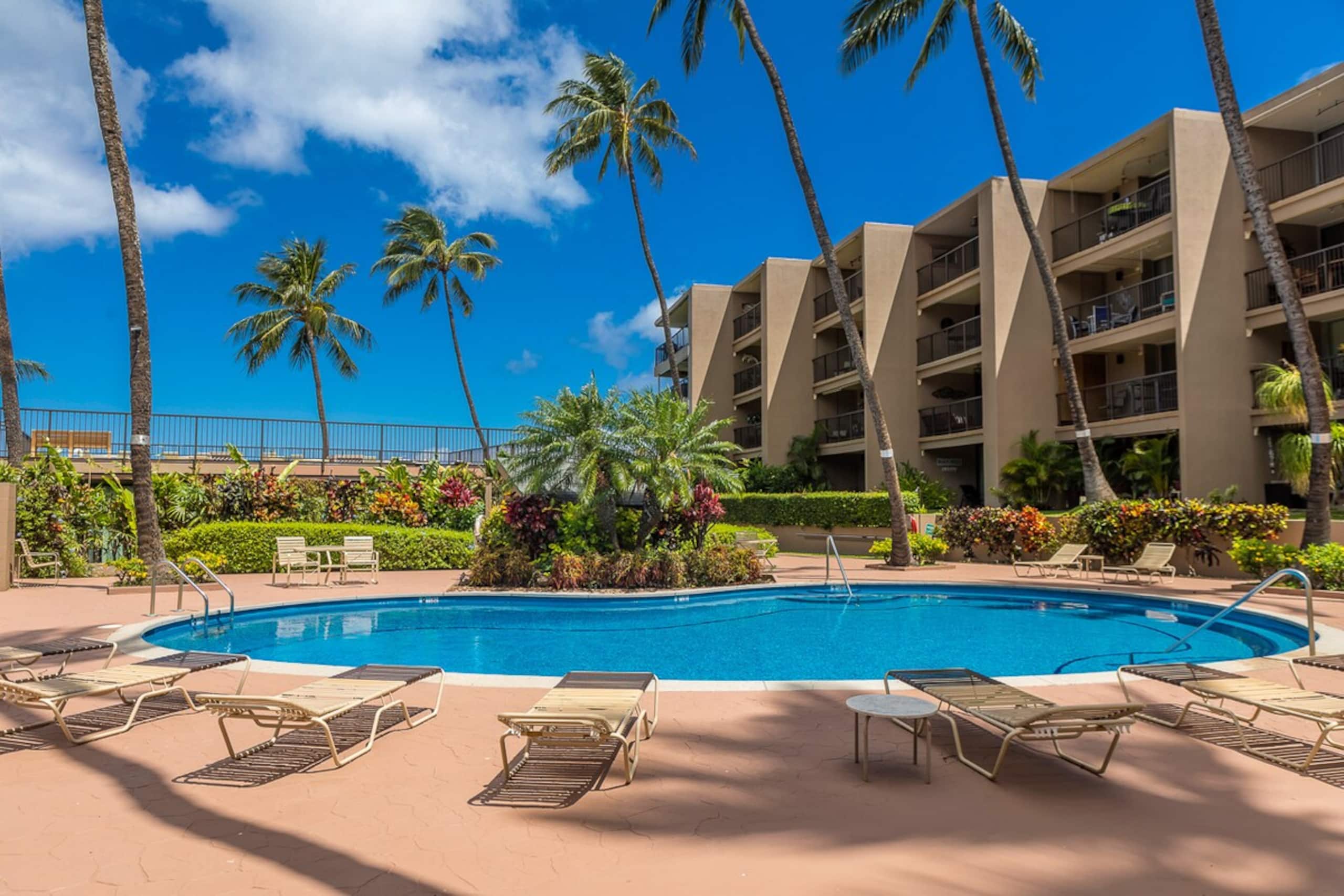 Oceanfront condo w/ whale watching views - Photo 28