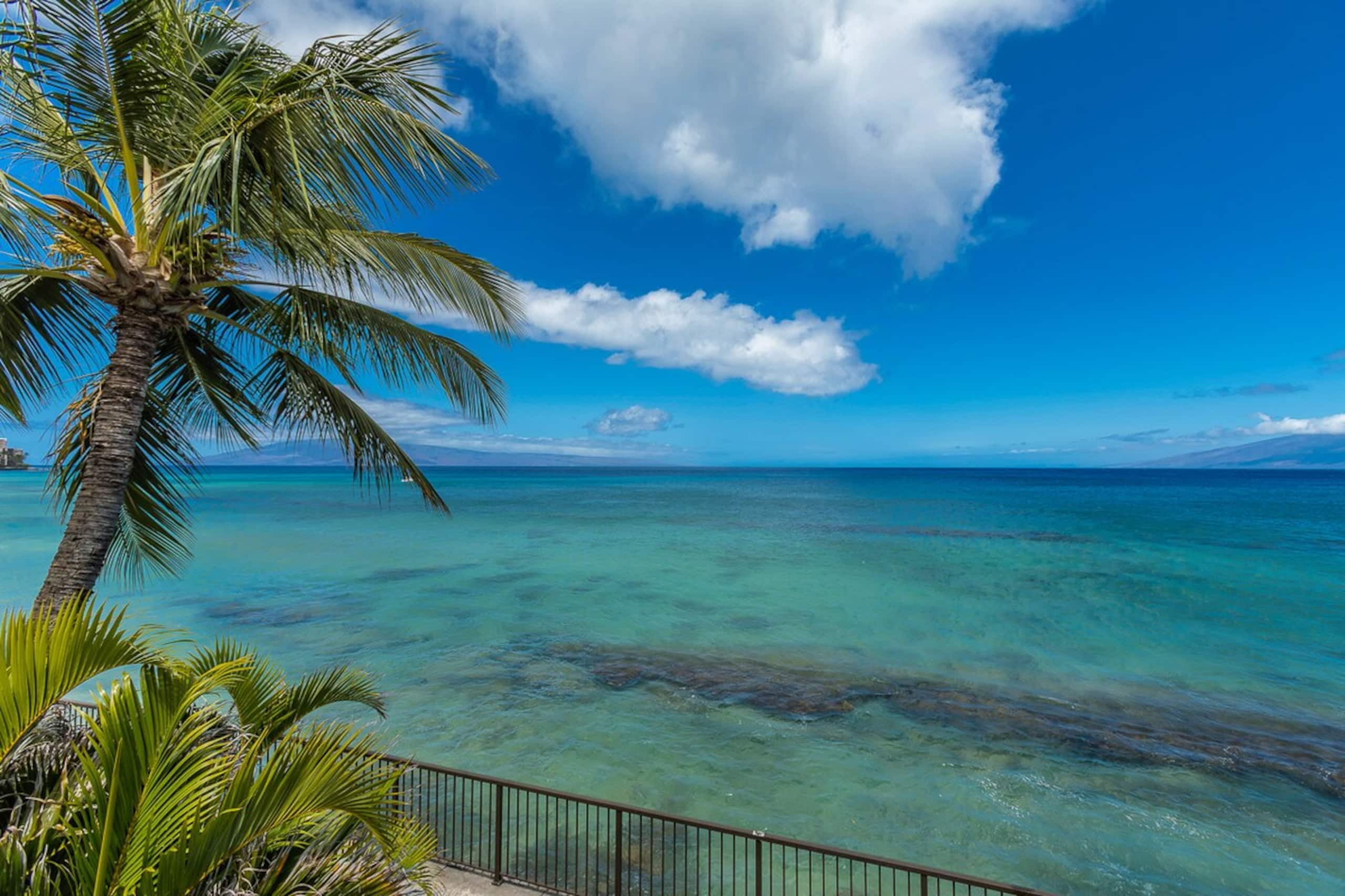 Oceanfront condo w/ whale watching views - Photo 44
