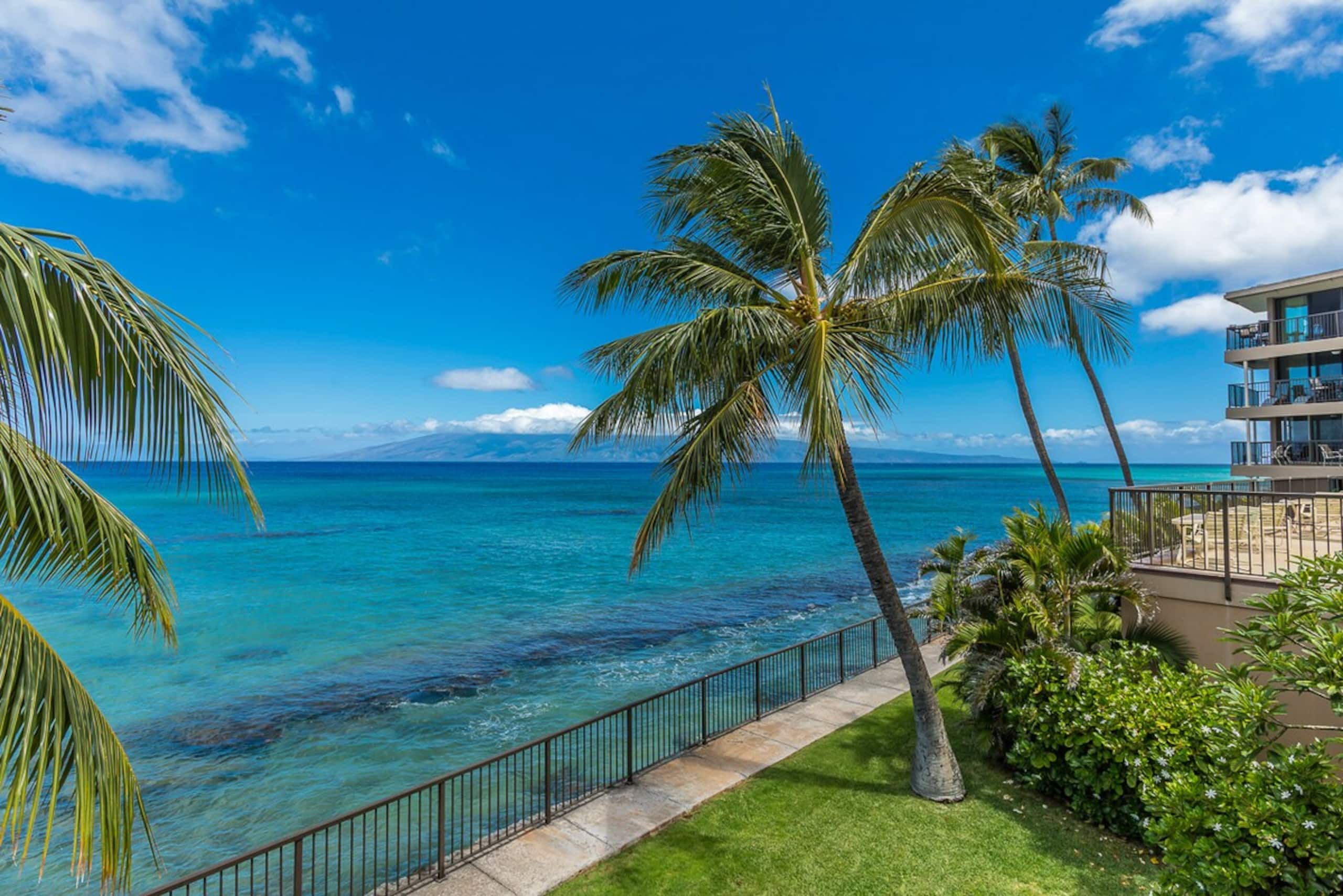 Oceanfront condo w/ whale watching views - Photo 45