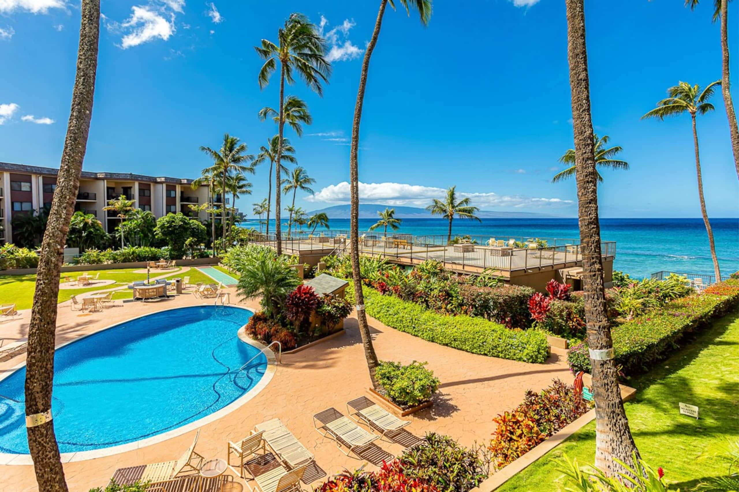 Oceanfront condo w/ whale watching views - Photo 23