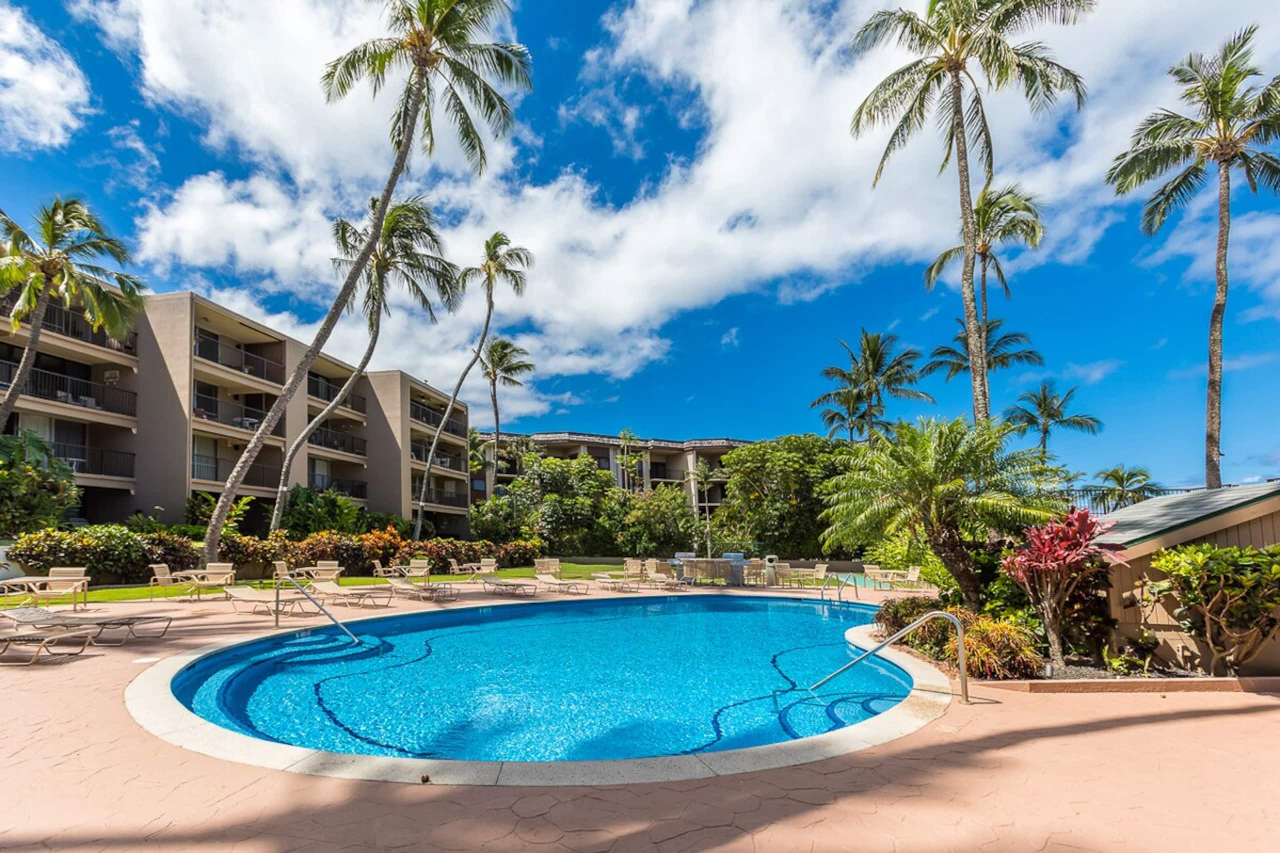 Oceanfront condo w/ whale watching views - Photo 27