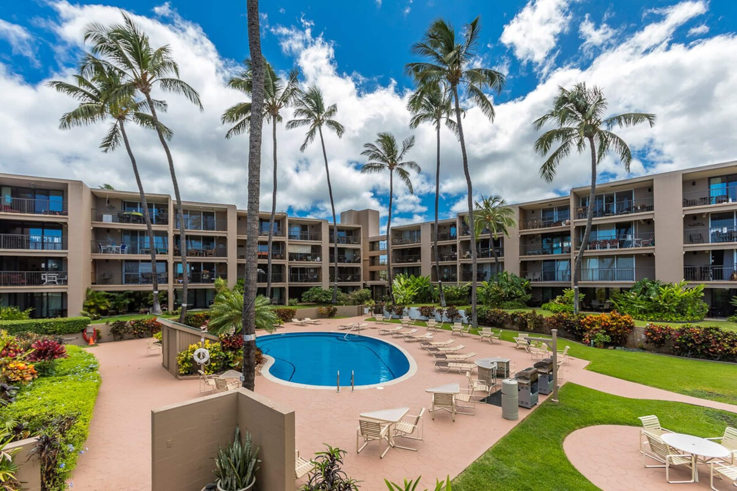Oceanfront condo w/ whale watching views - Photo 26