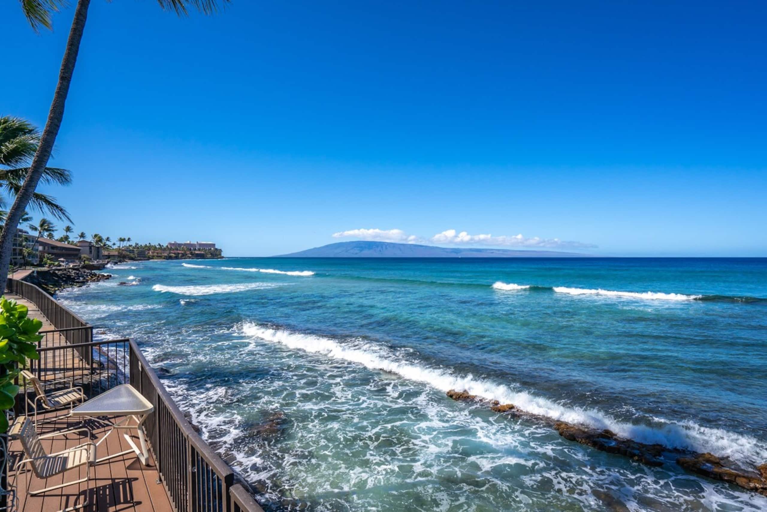 Oceanfront condo w/ whale watching views - Photo 38