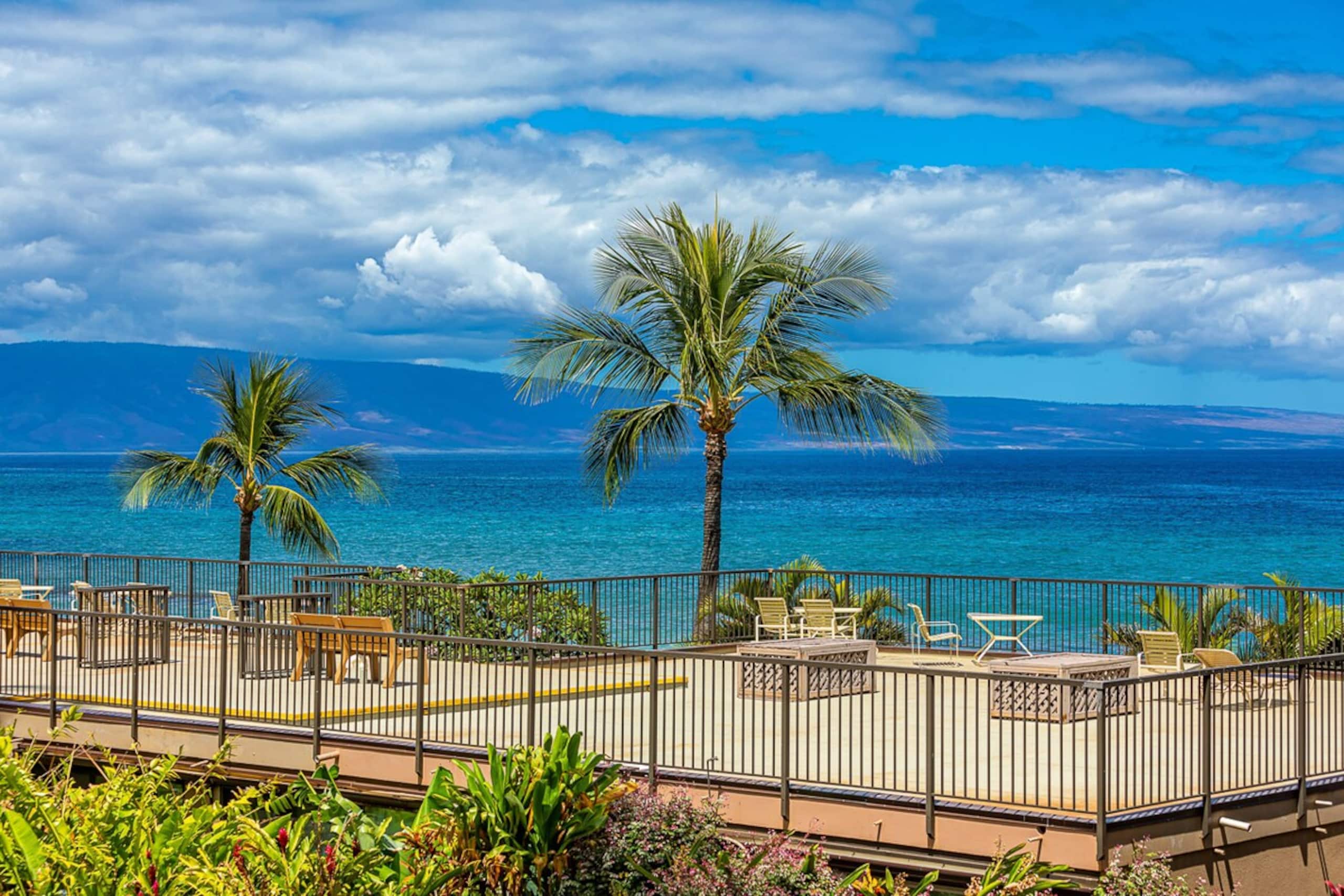 Oceanfront condo w/ whale watching views - Photo 37