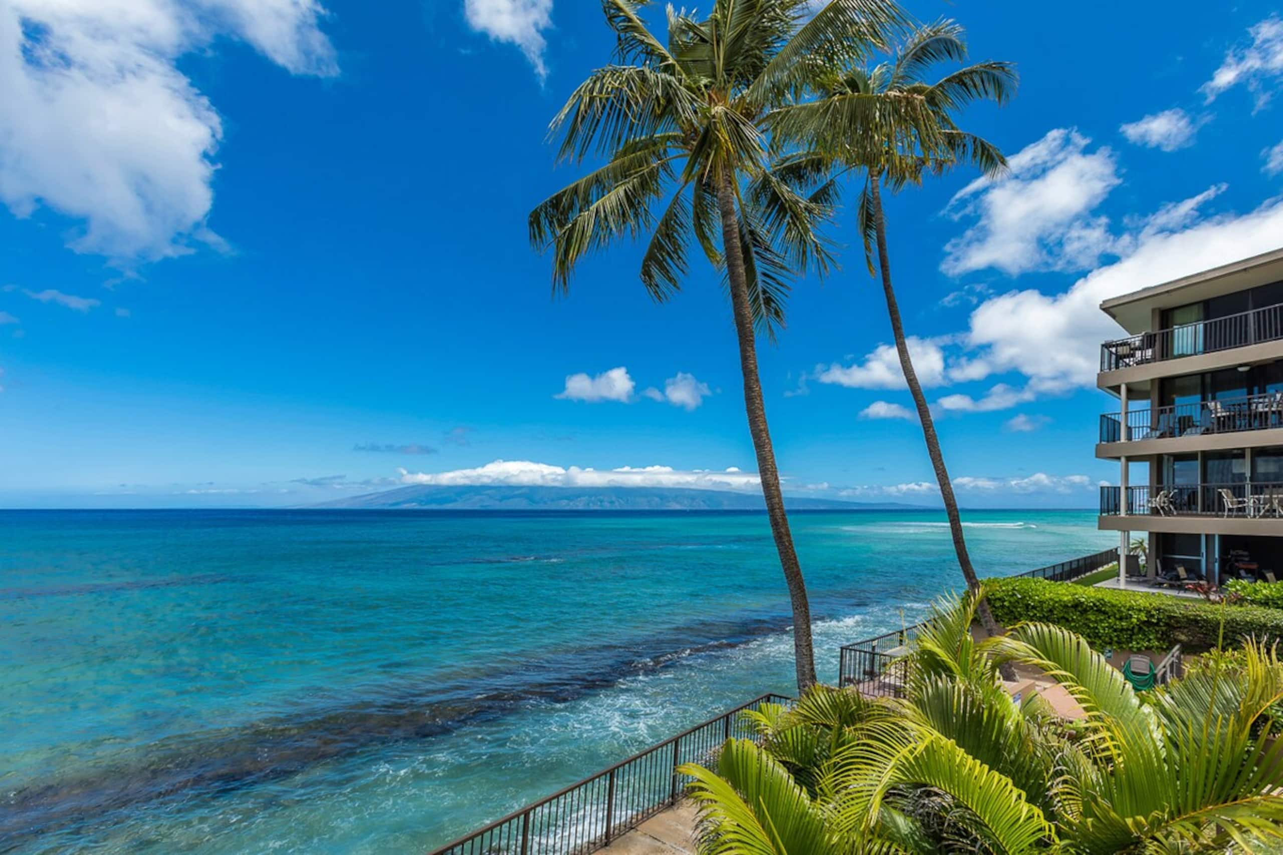 Oceanfront condo w/ whale watching views - Photo 40