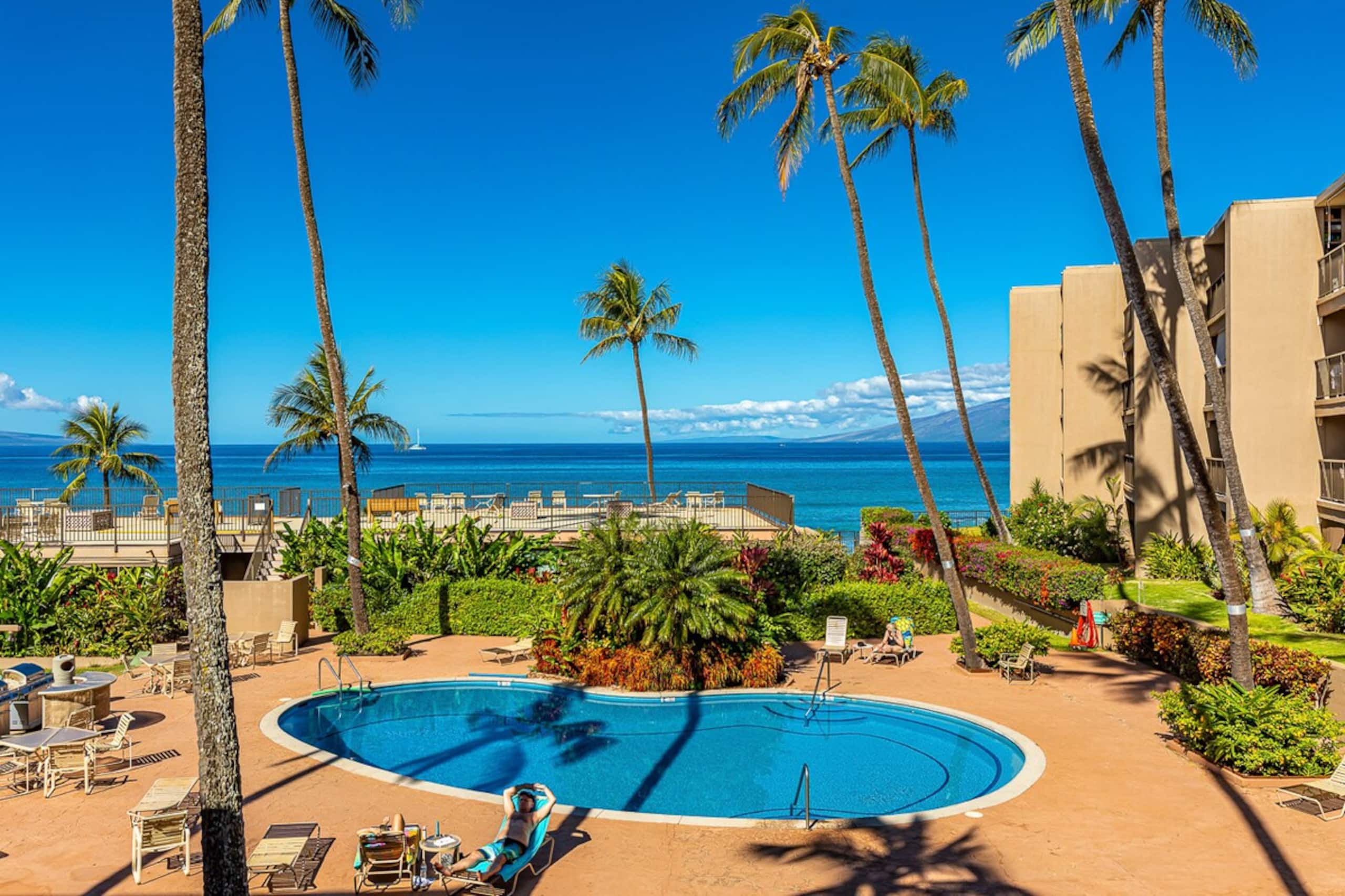 Oceanfront condo w/ whale watching views - Photo 3