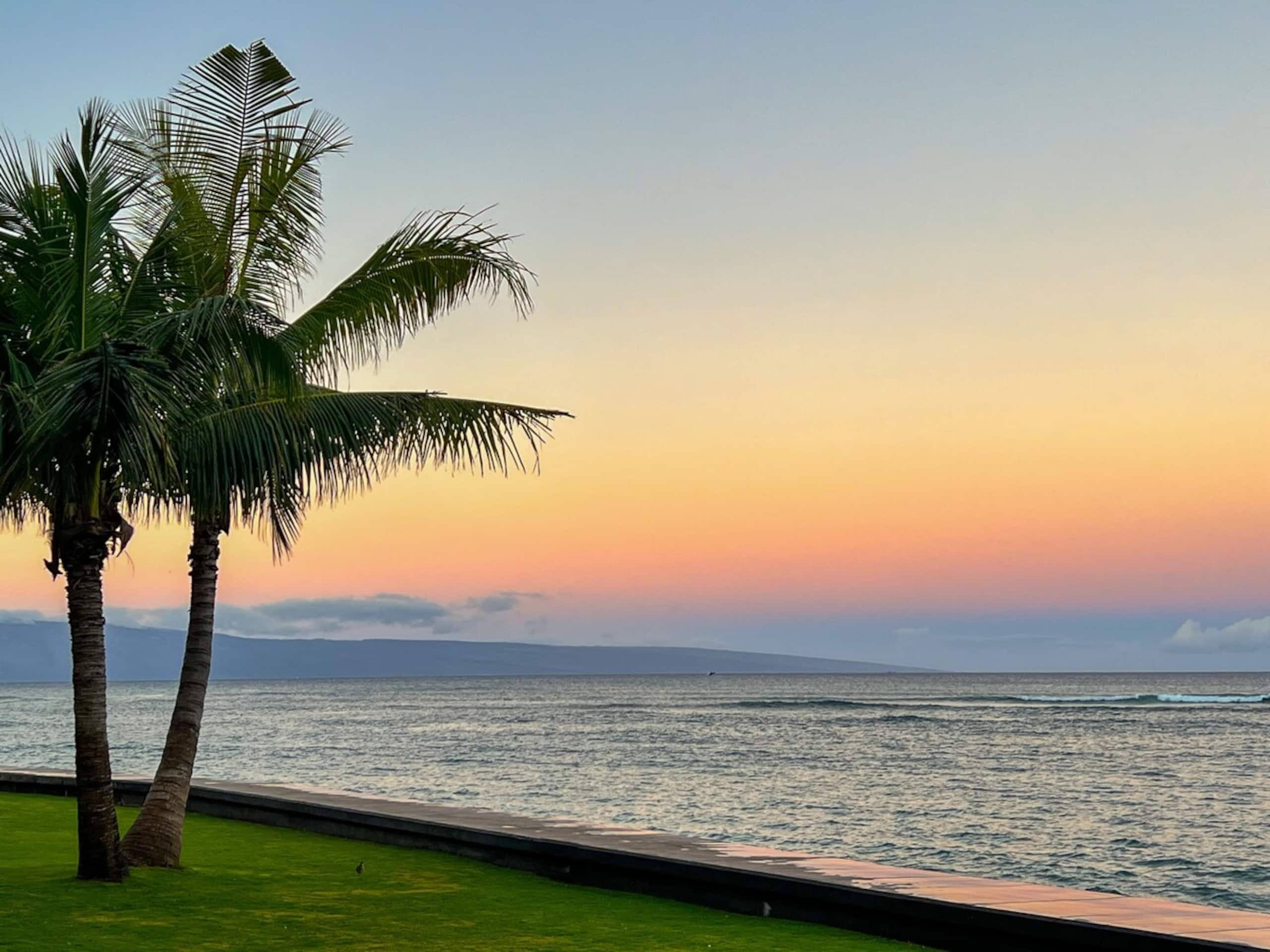 Oceanfront condo w/ lanai and sunset views - Photo 53