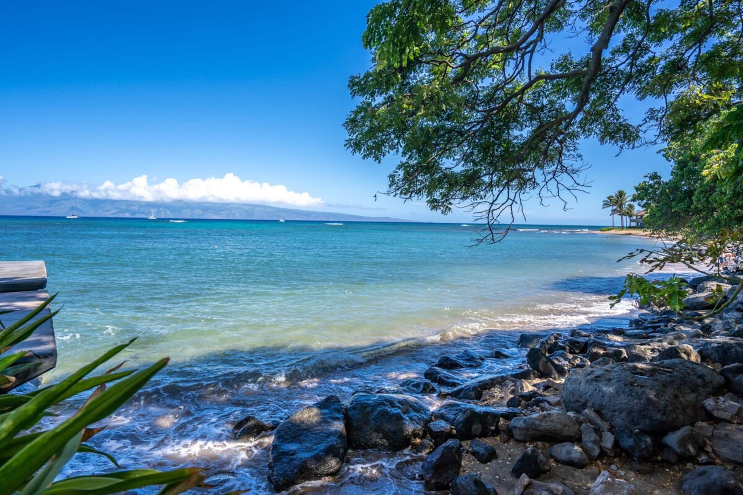 Oceanfront condo w/ lanai and sunset views - Photo 38