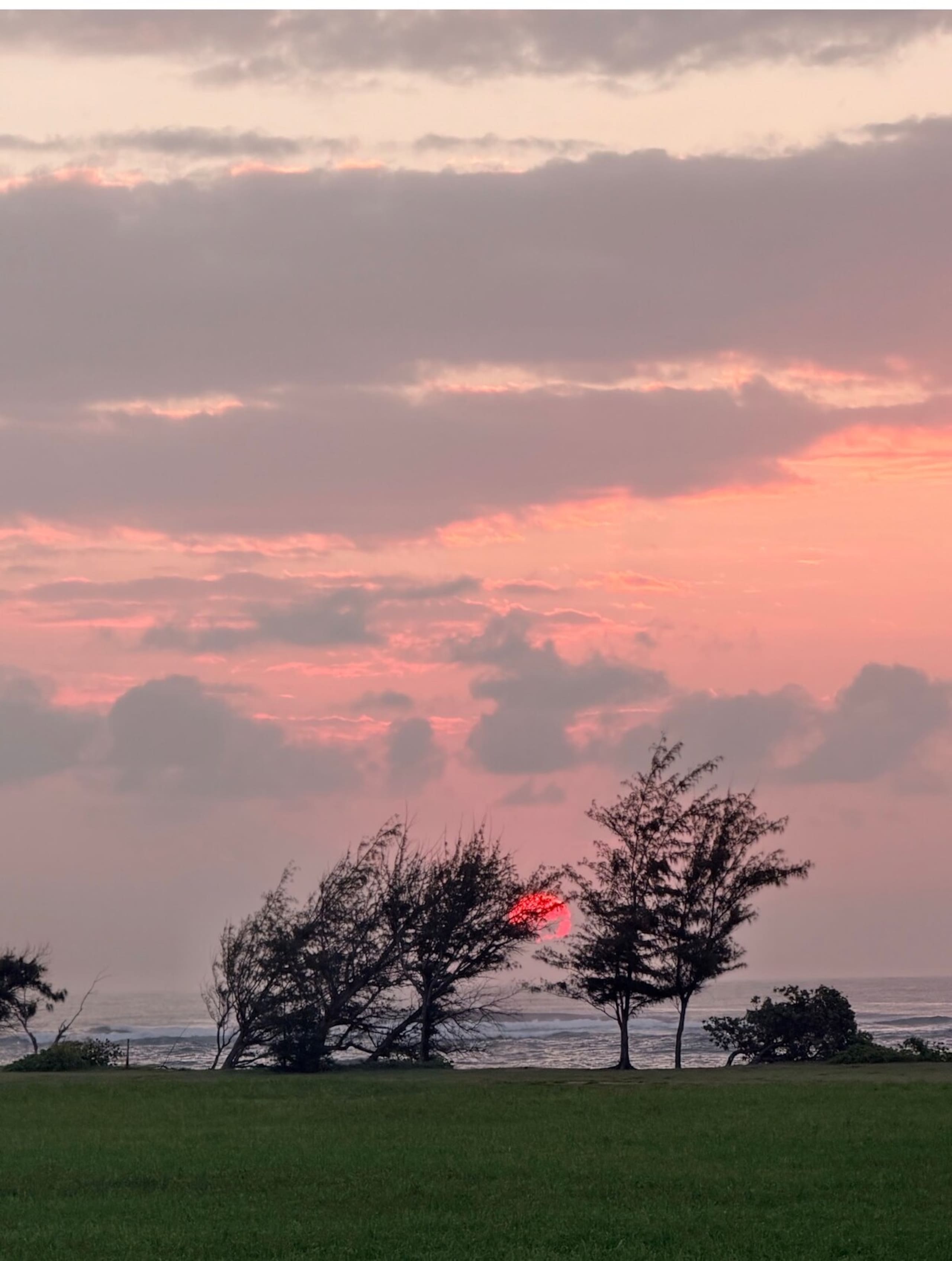 Luxury Oceanview Condo in Kapa'a- FULLY remodeled - Photo 61