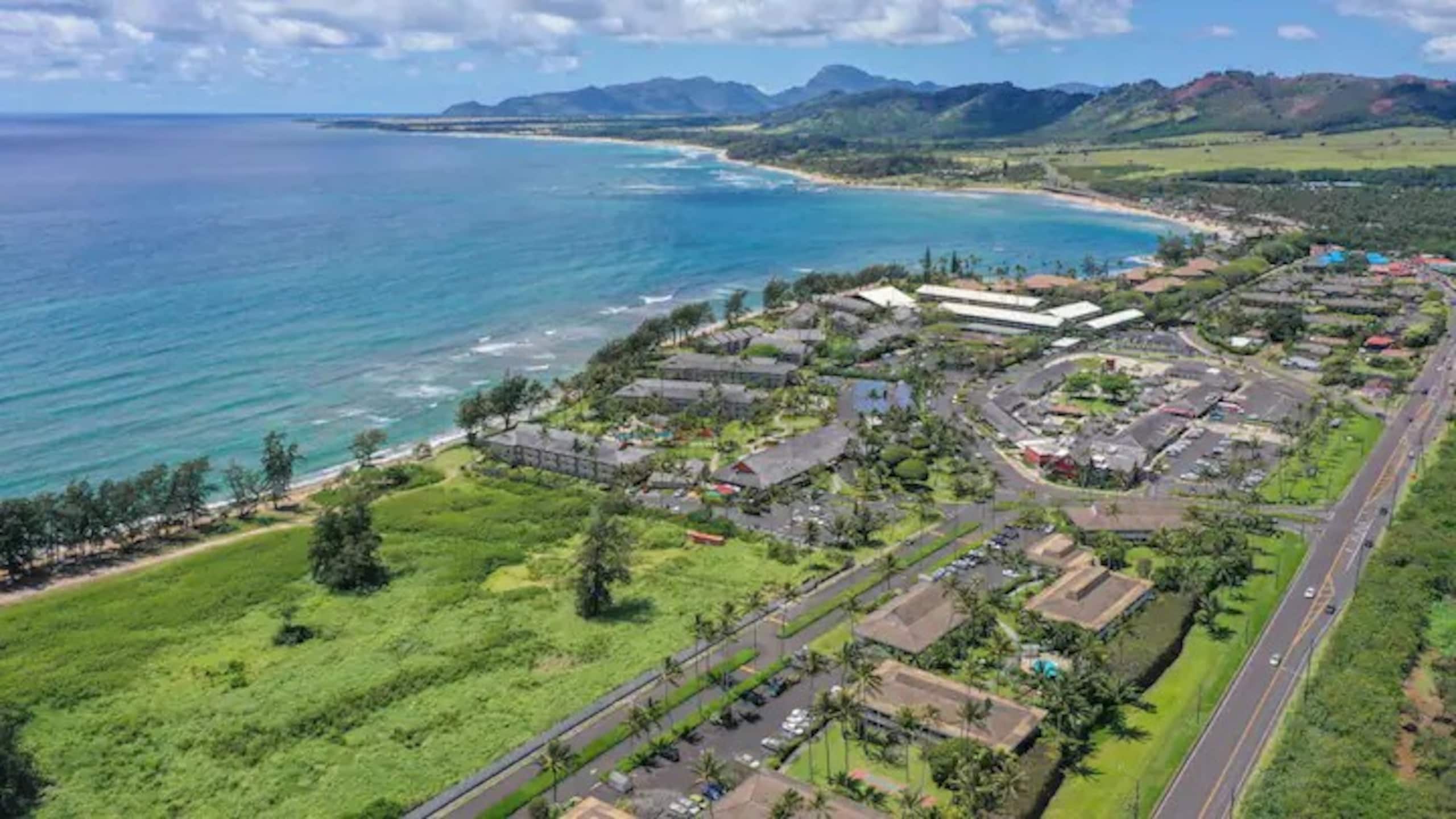 Luxury Oceanview Condo in Kapa'a- FULLY remodeled - Photo 87