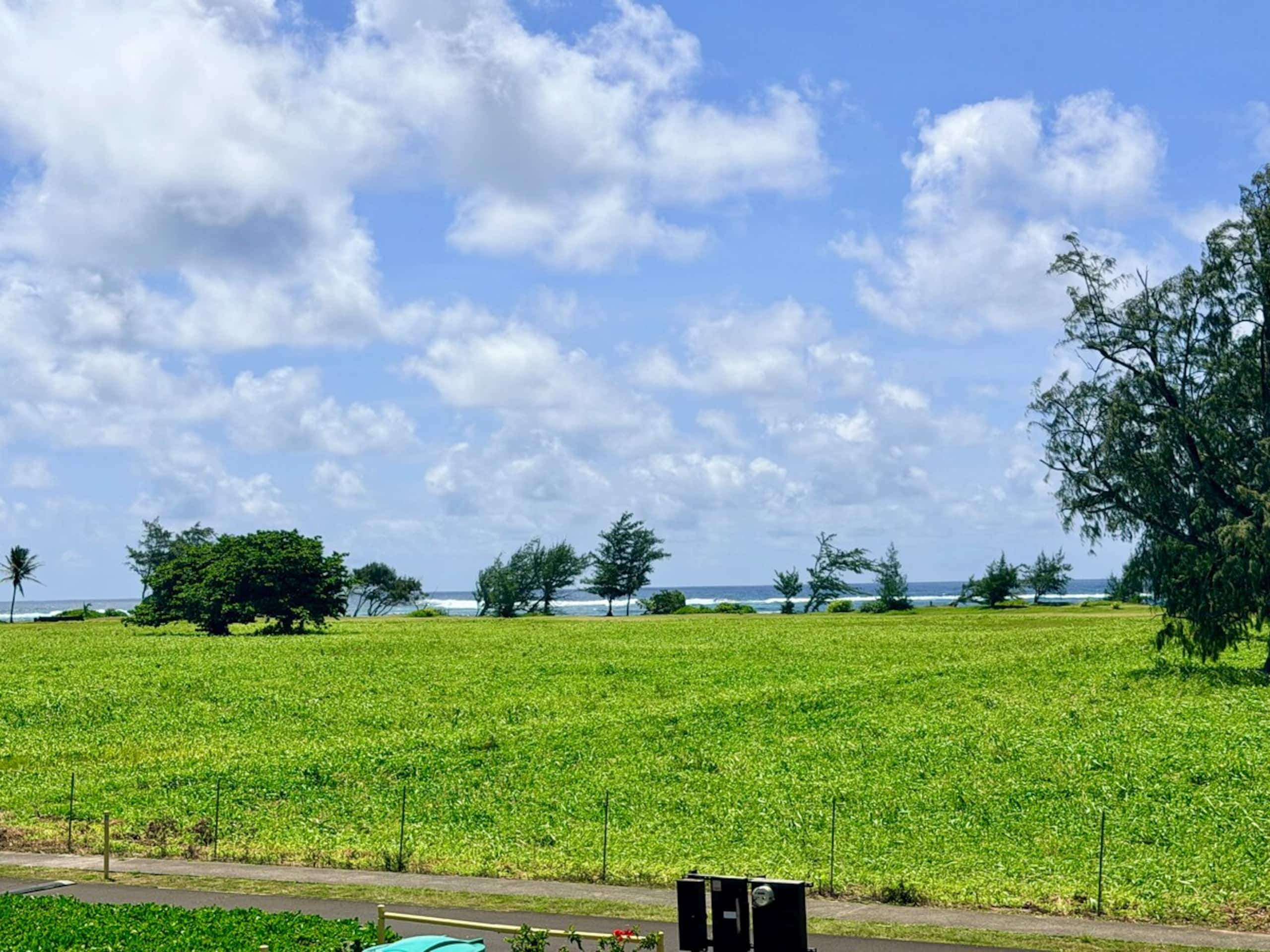 Luxury Oceanview Condo in Kapa'a- FULLY remodeled - Photo 63