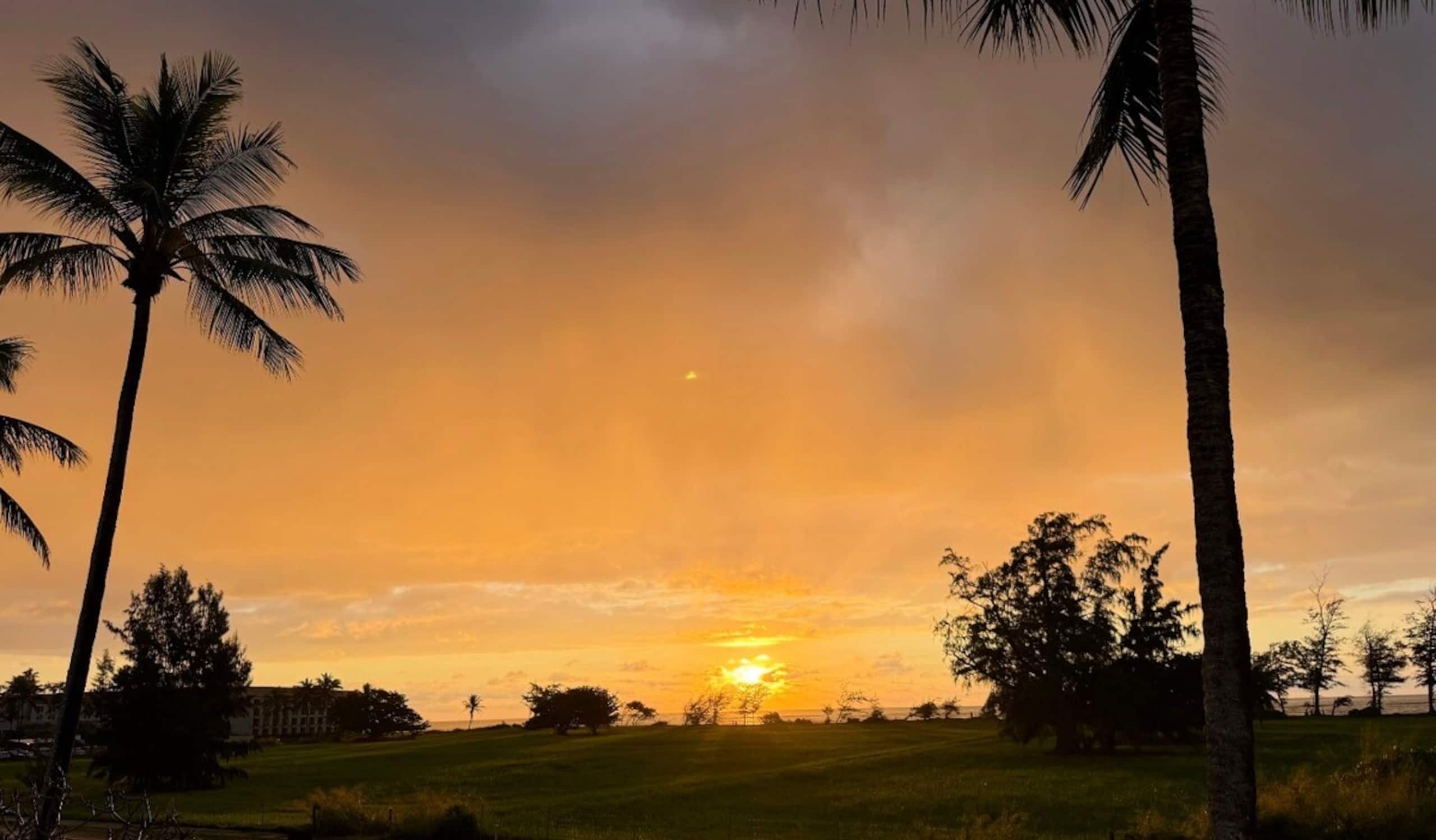 Luxury Oceanview Condo in Kapa'a- FULLY remodeled - Photo 56