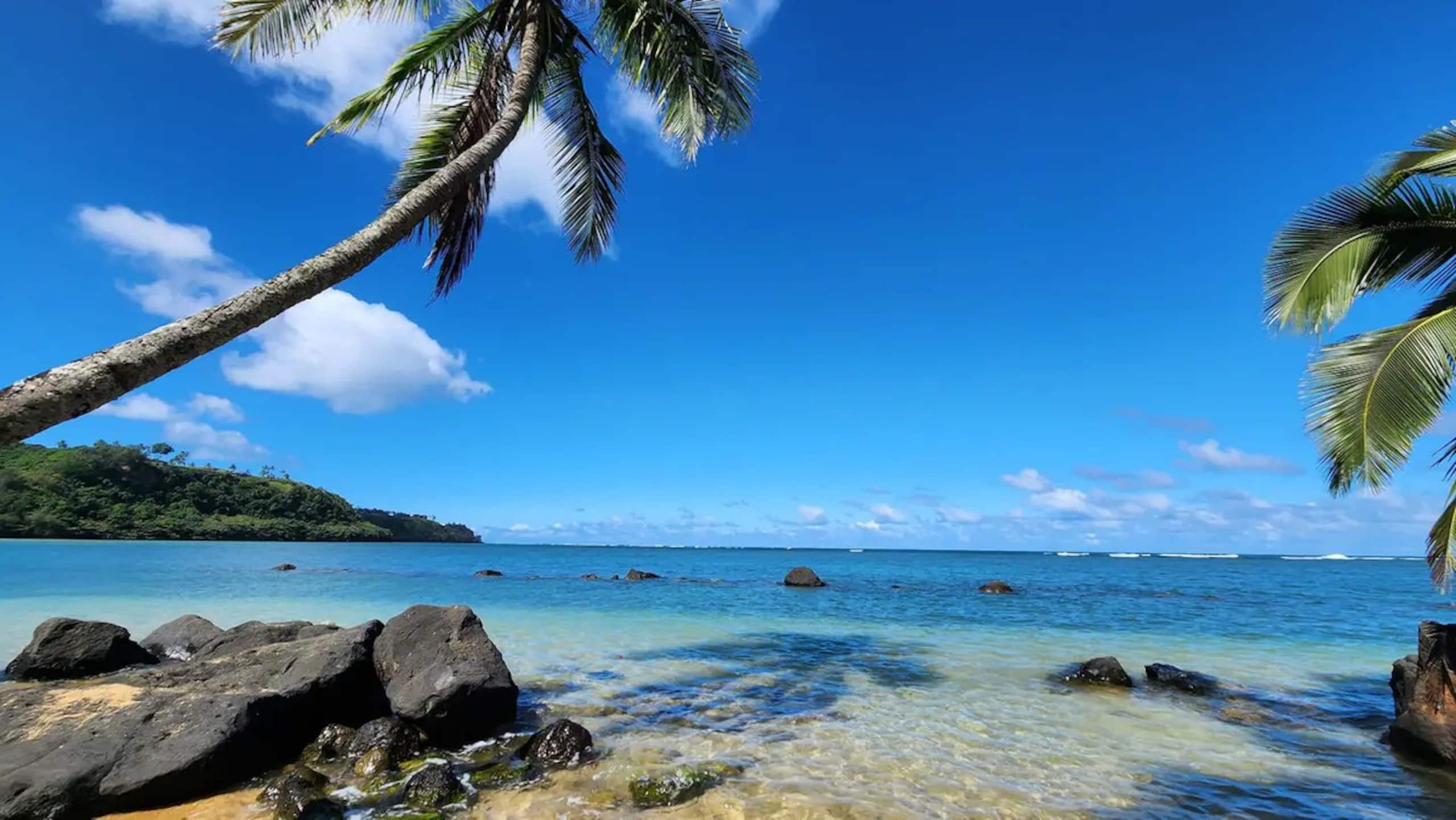 Luxury Oceanview Condo in Kapa'a- FULLY remodeled - Photo 92