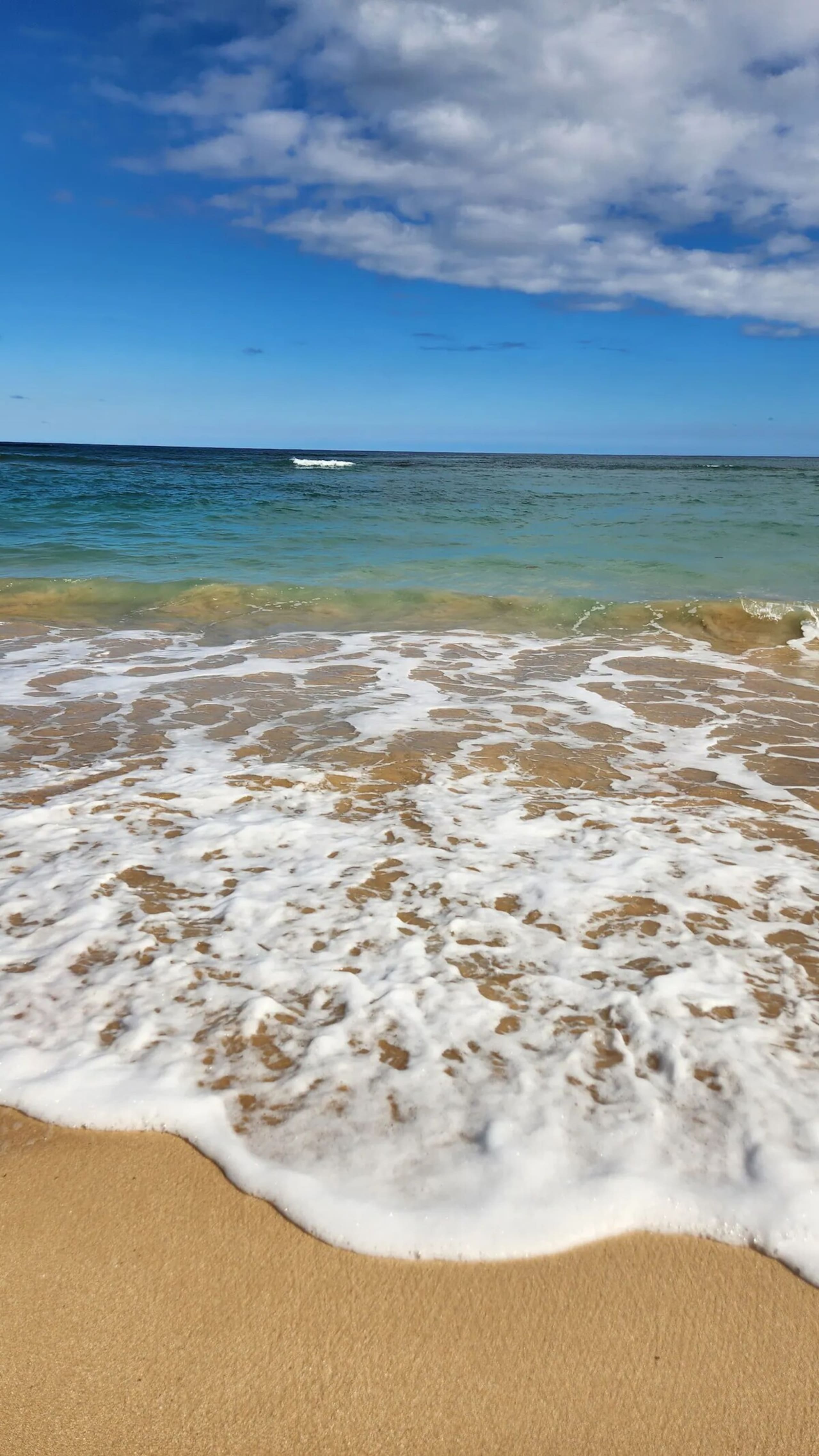 Luxury Oceanview Condo in Kapa'a- FULLY remodeled - Photo 94