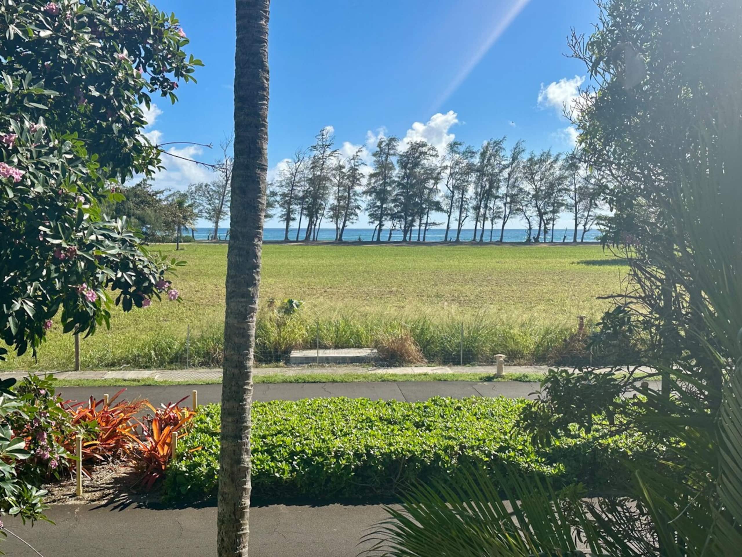 Luxury Oceanview Condo in Kapa'a- FULLY remodeled - Photo 51