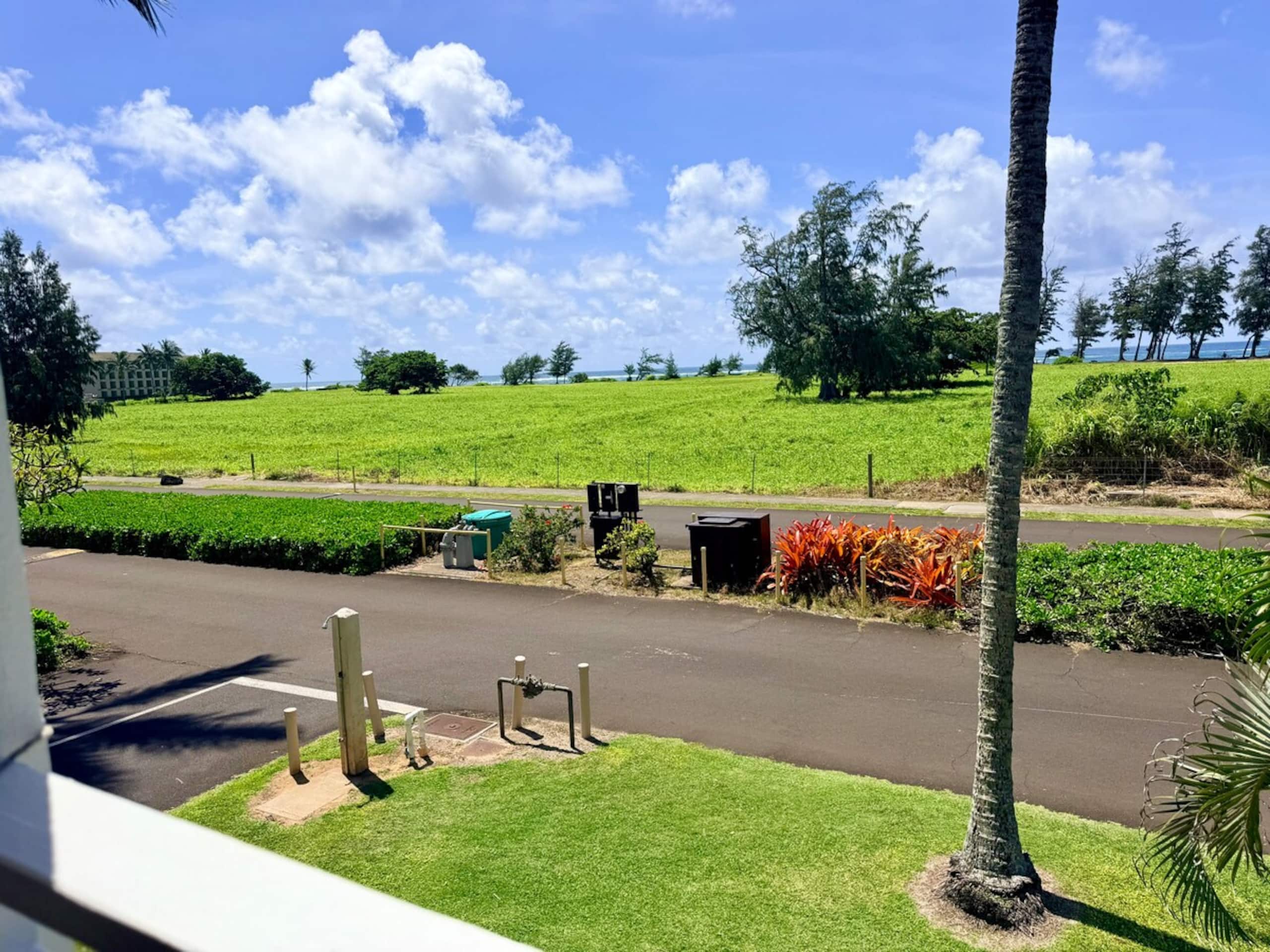 Luxury Oceanview Condo in Kapa'a- FULLY remodeled - Photo 66