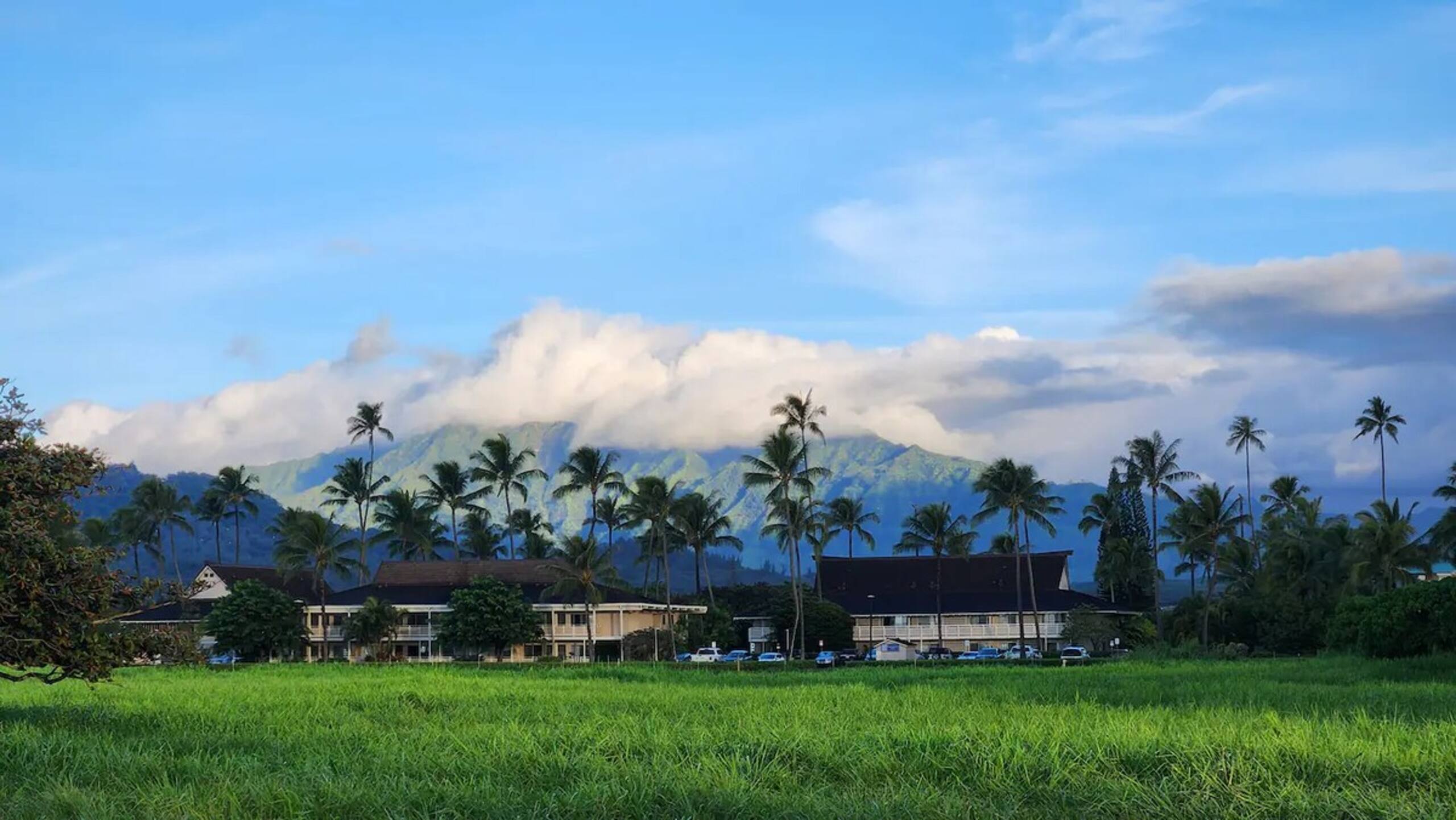 Luxury Oceanview Condo in Kapa'a- FULLY remodeled - Photo 83