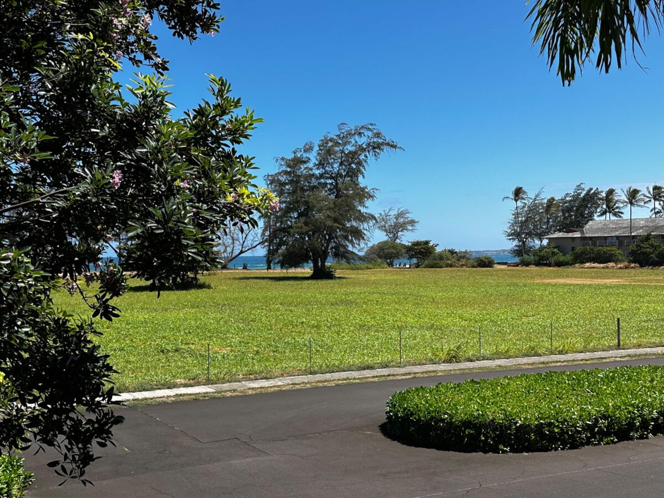 Luxury Oceanview Condo in Kapa'a- FULLY remodeled - Photo 47
