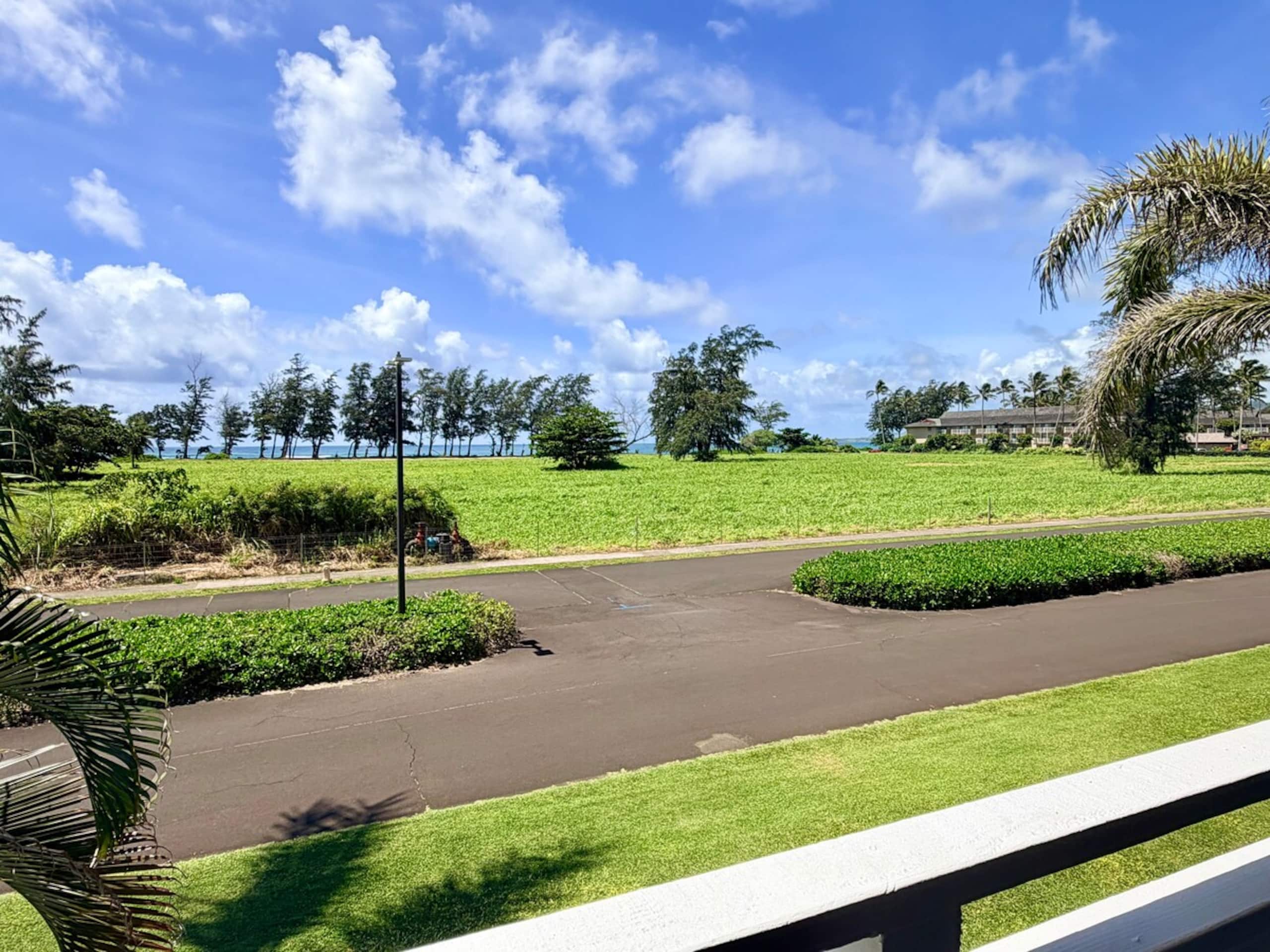 Luxury Oceanview Condo in Kapa'a- FULLY remodeled - Photo 67