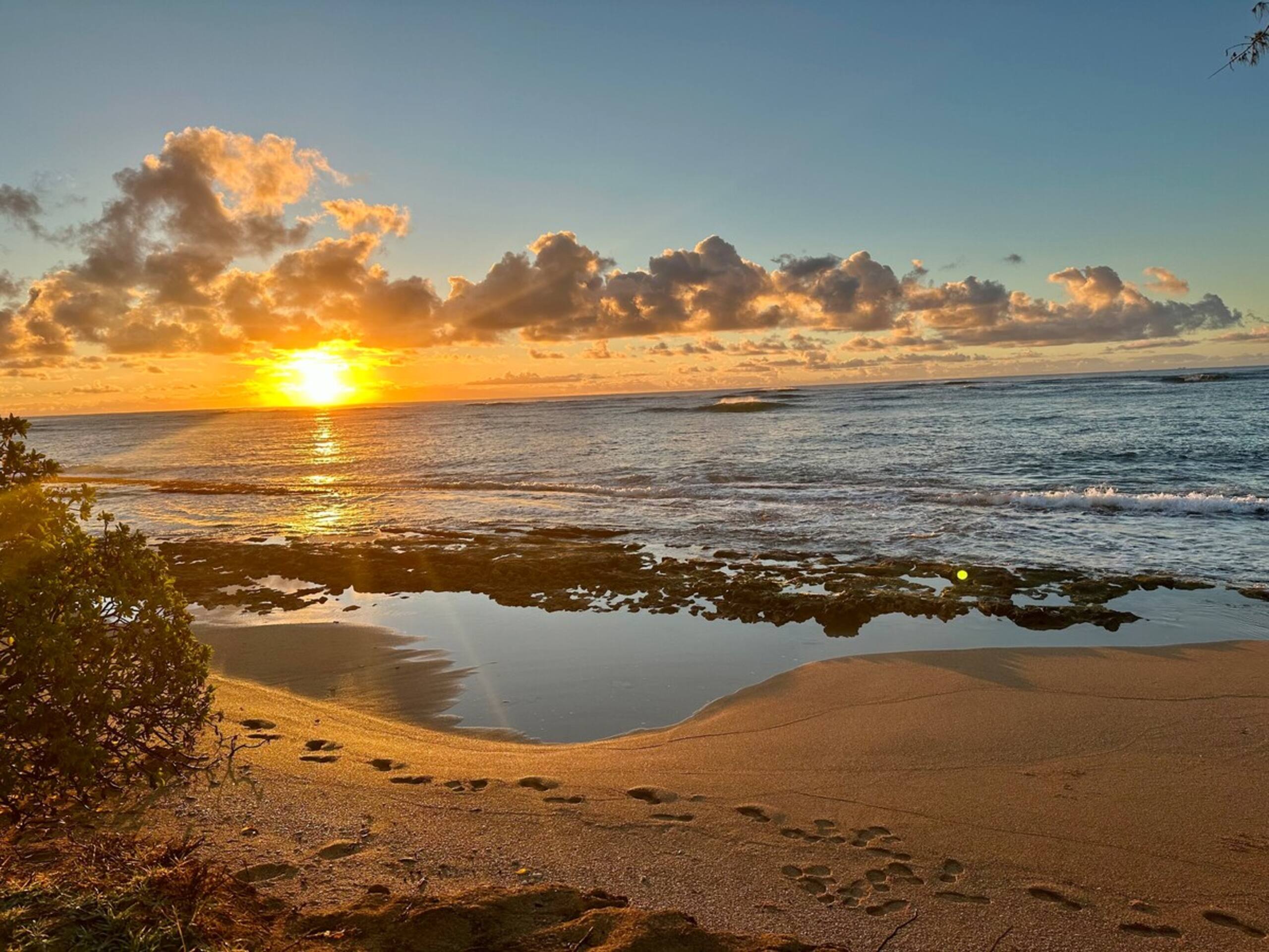 Luxury Oceanview Condo in Kapa'a- FULLY remodeled - Photo 97