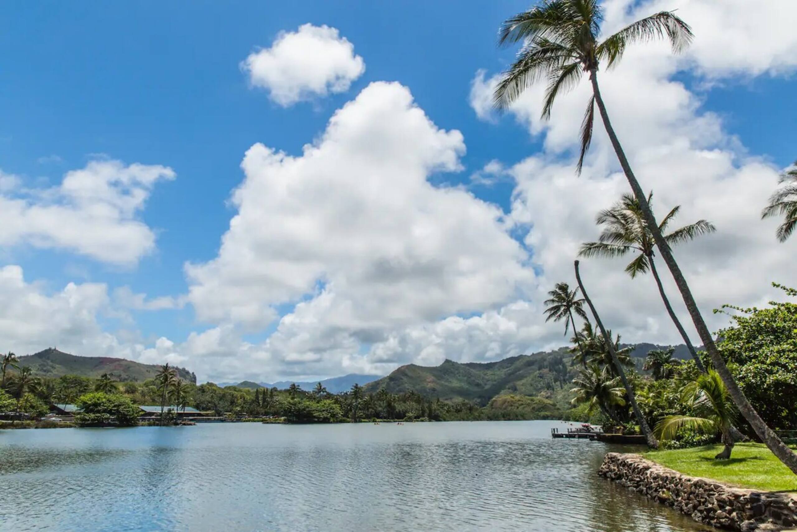 Luxury Oceanview Condo in Kapa'a- FULLY remodeled - Photo 89