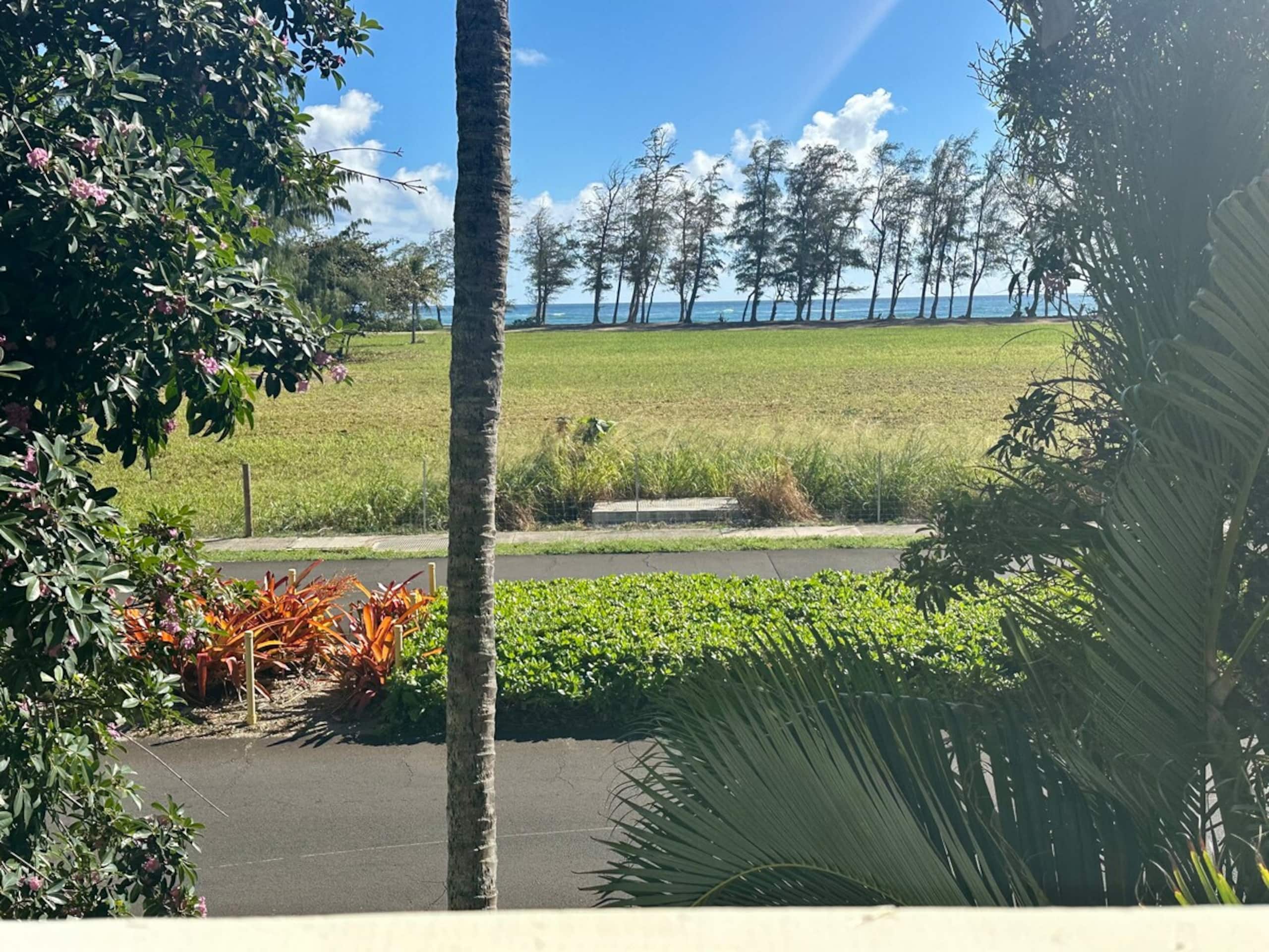 Luxury Oceanview Condo in Kapa'a- FULLY remodeled - Photo 53