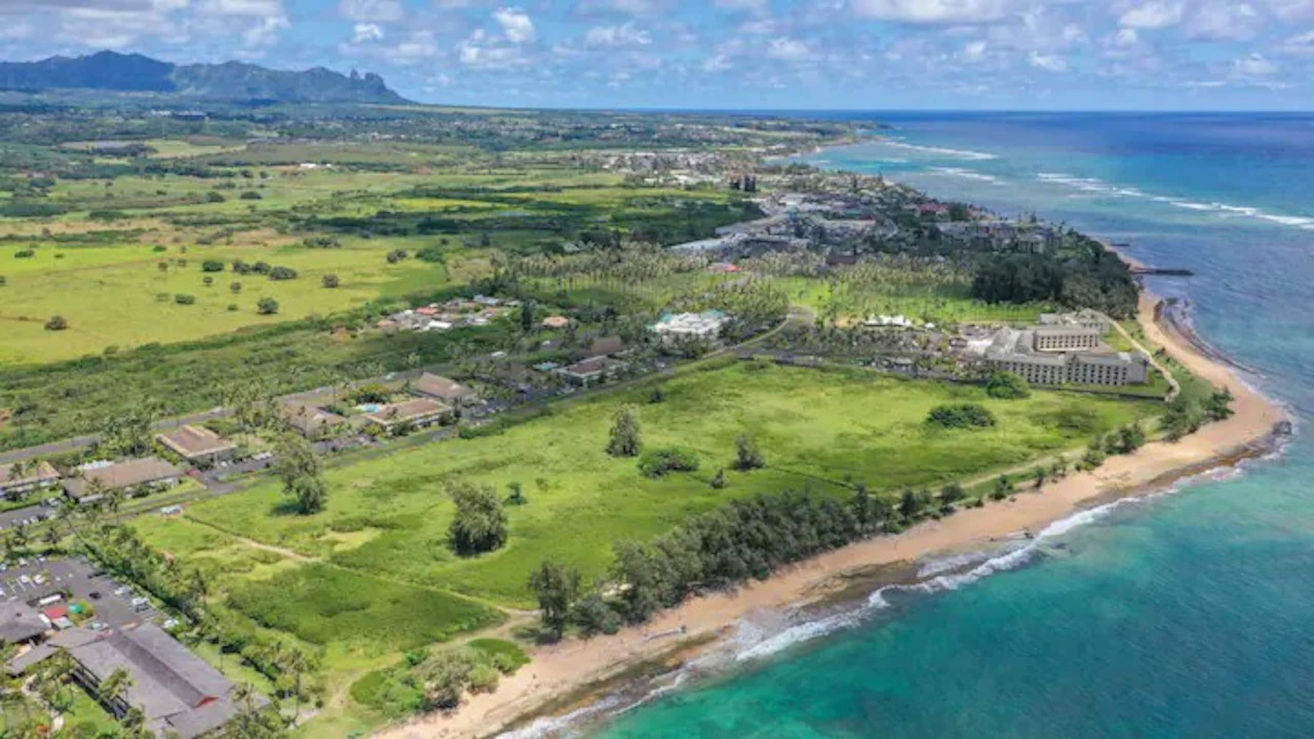 Luxury Oceanview Condo in Kapa'a- FULLY remodeled - Photo 85