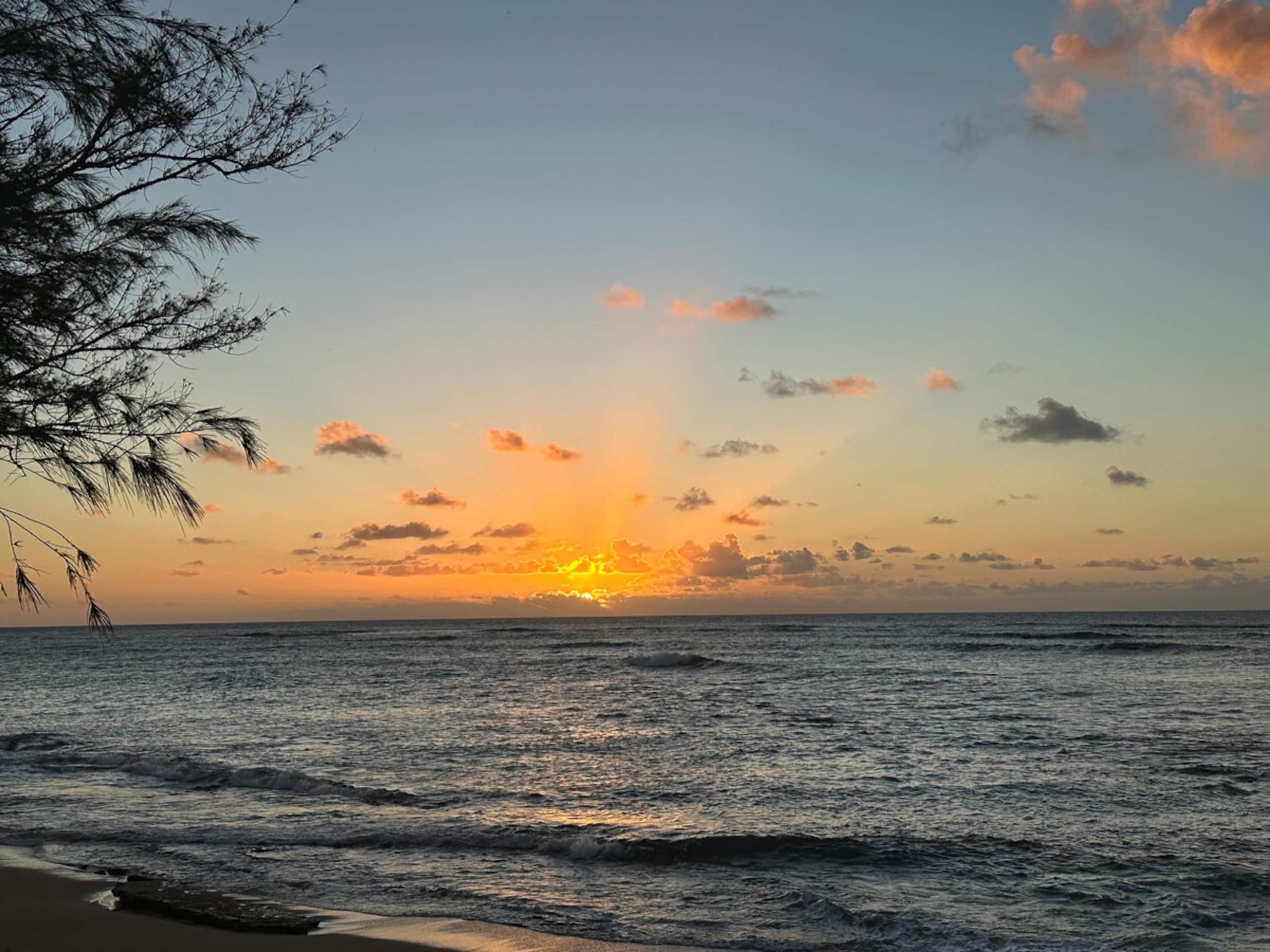 Luxury Oceanview Condo in Kapa'a- FULLY remodeled - Photo 95