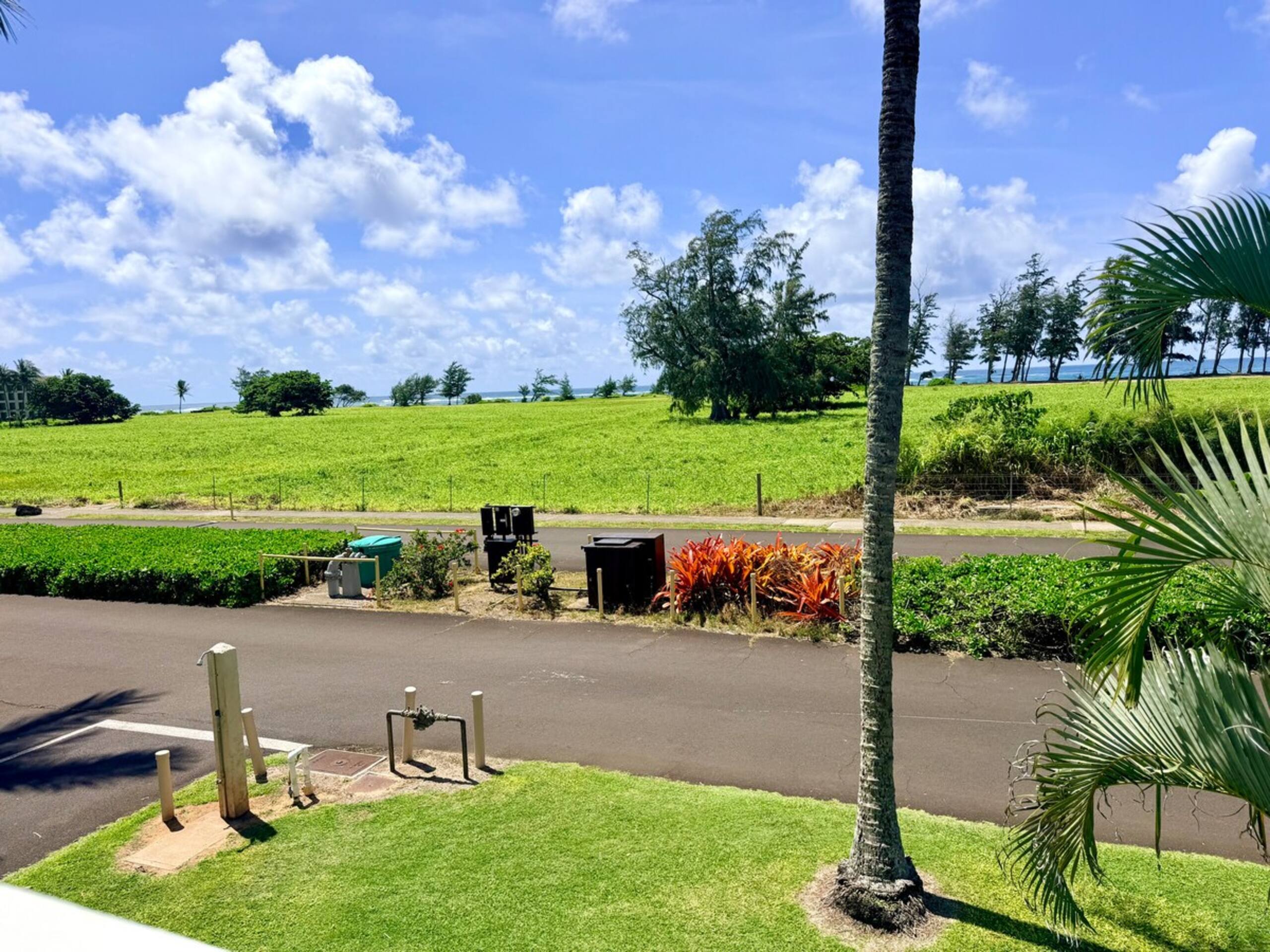 Luxury Oceanview Condo in Kapa'a- FULLY remodeled - Photo 65
