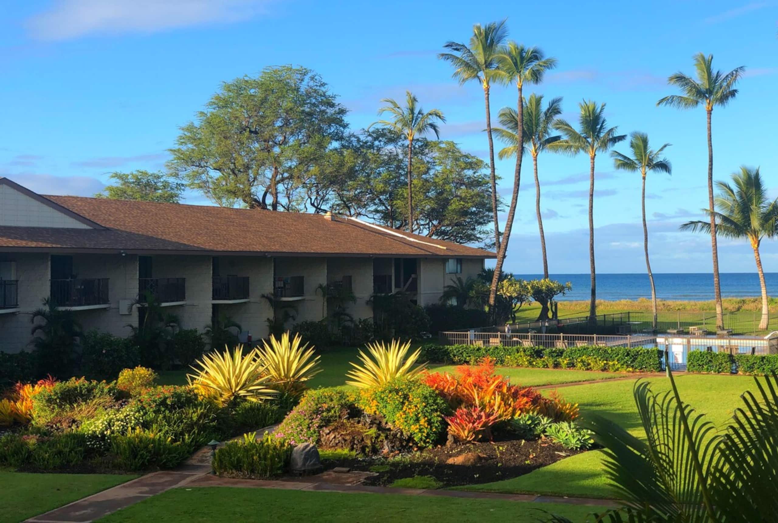 Beachfront Bliss, Steps to Sand, Poolside Maui E - Photo 18