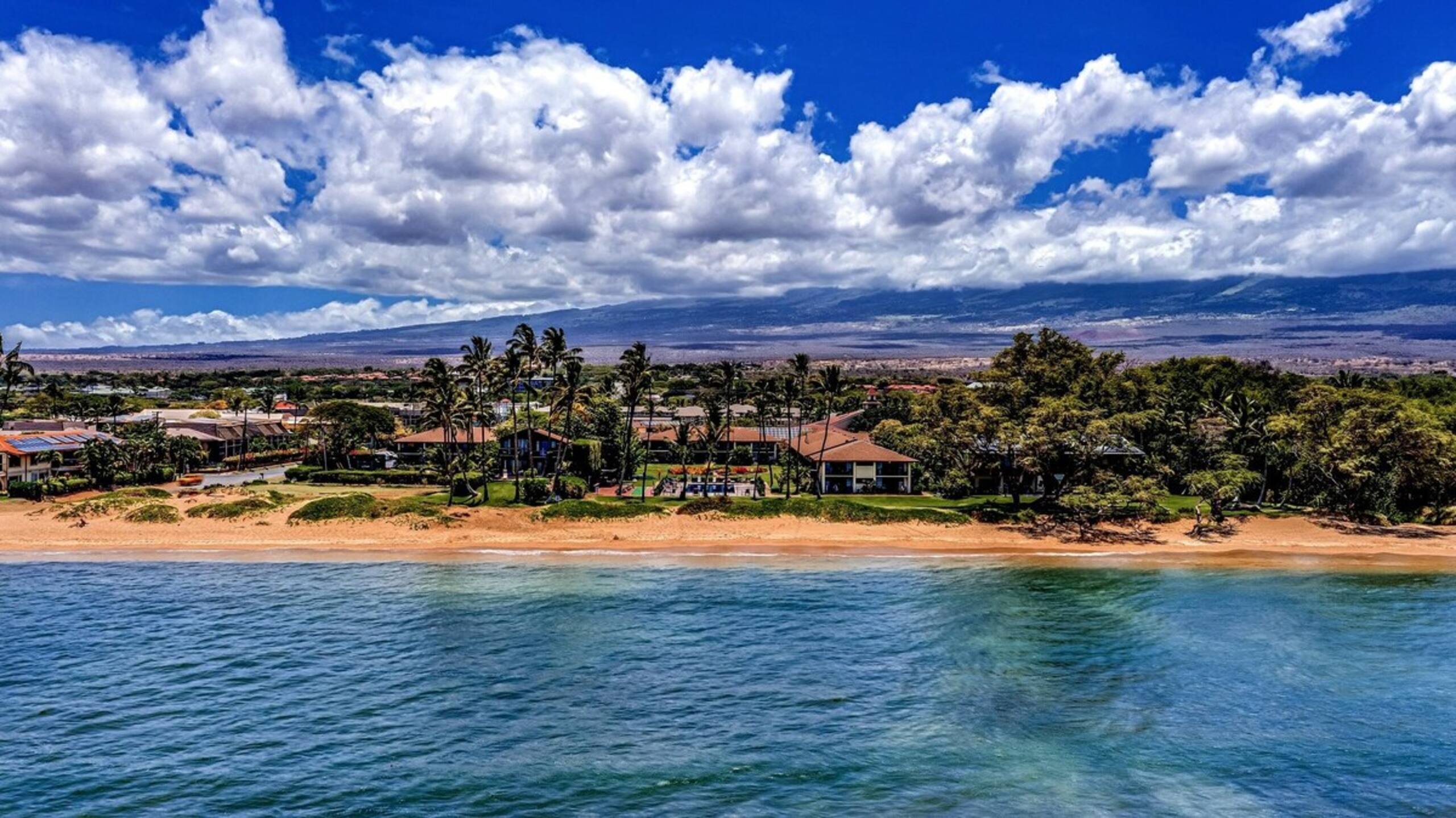Beachfront Bliss, Steps to Sand, Poolside Maui E - Photo 17