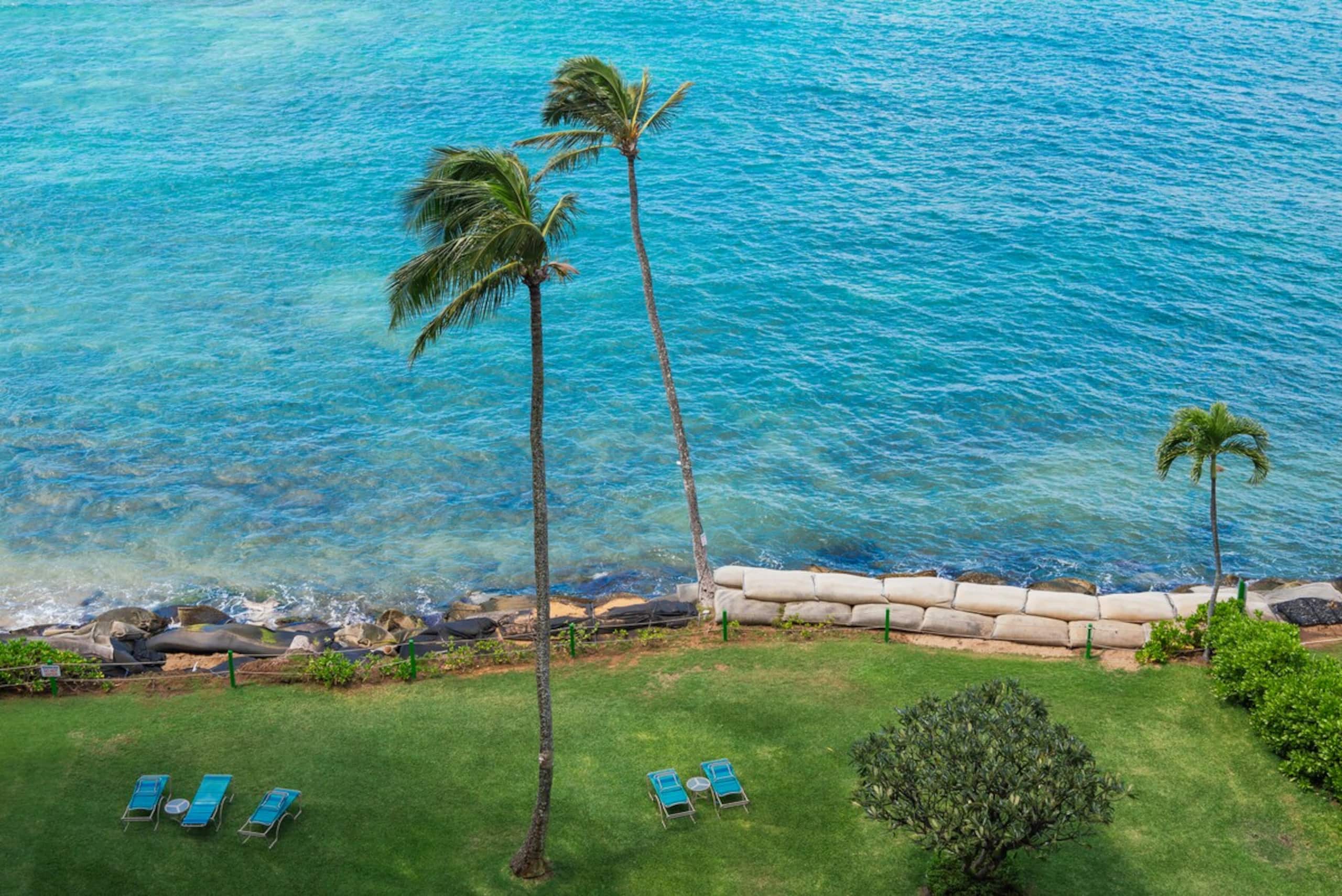 Ocean/Beach Front & Central Air - Photo 29