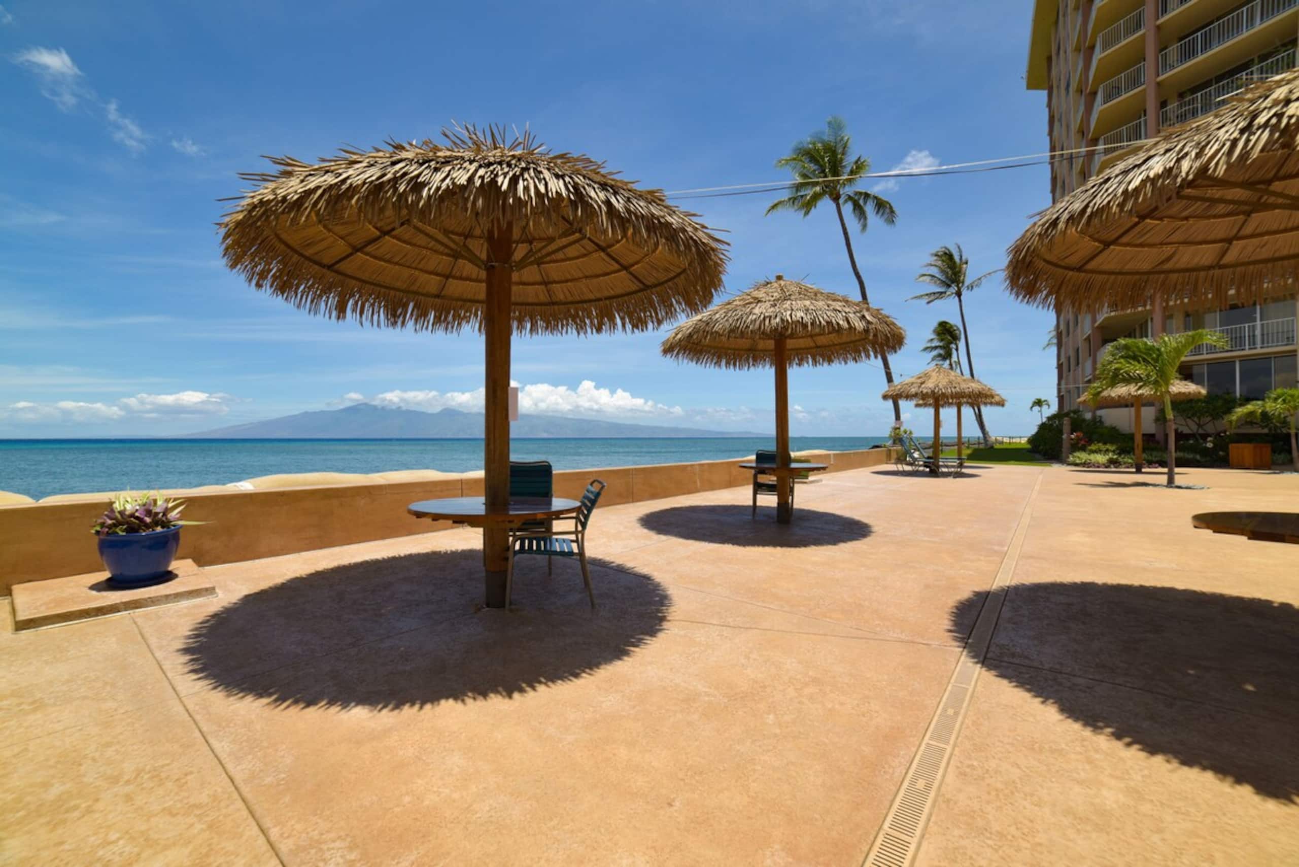 Ocean/Beach Front & Central Air - Photo 43