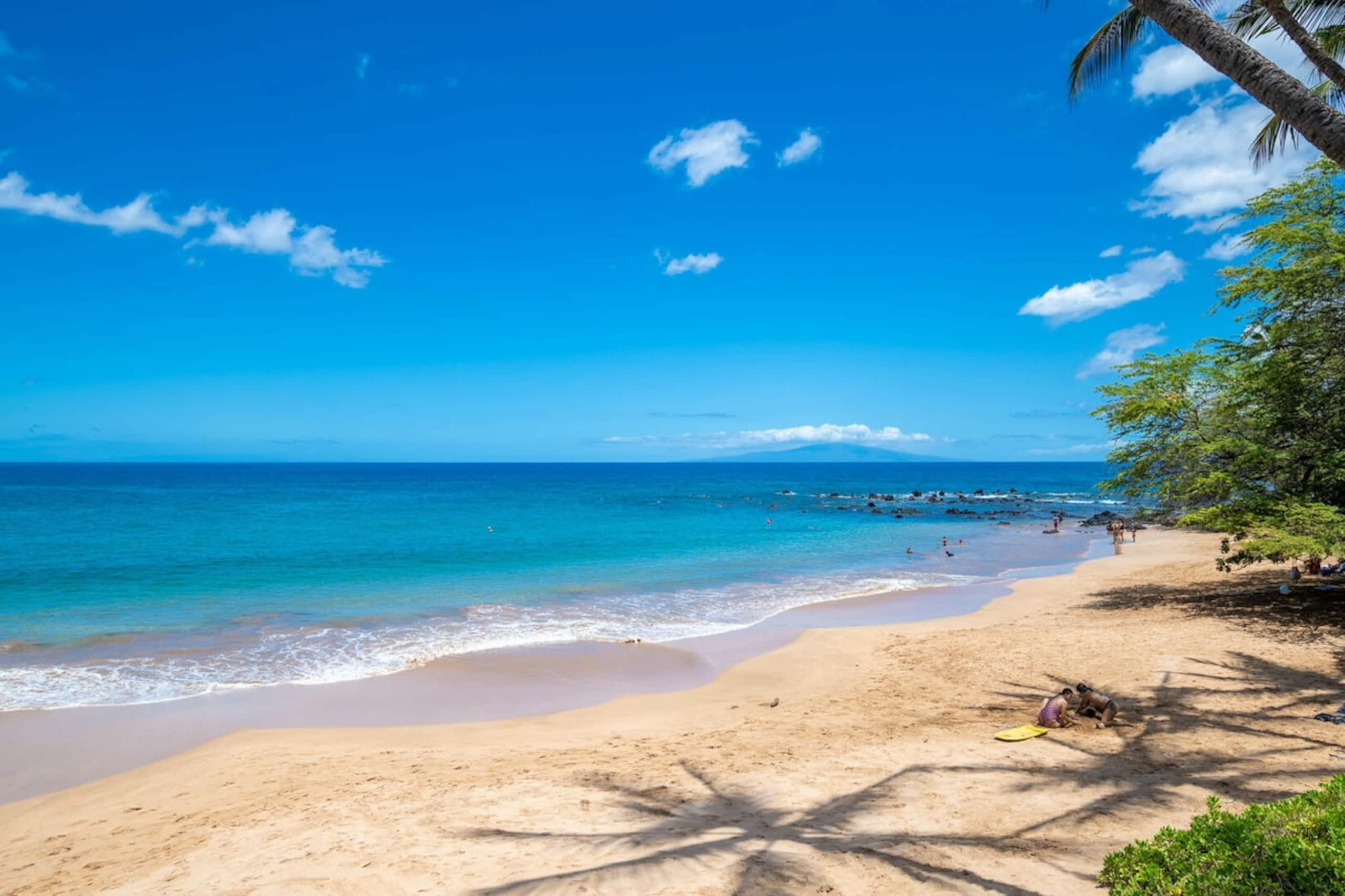 Tropical Escape with Endless Coastal Views - Photo 36