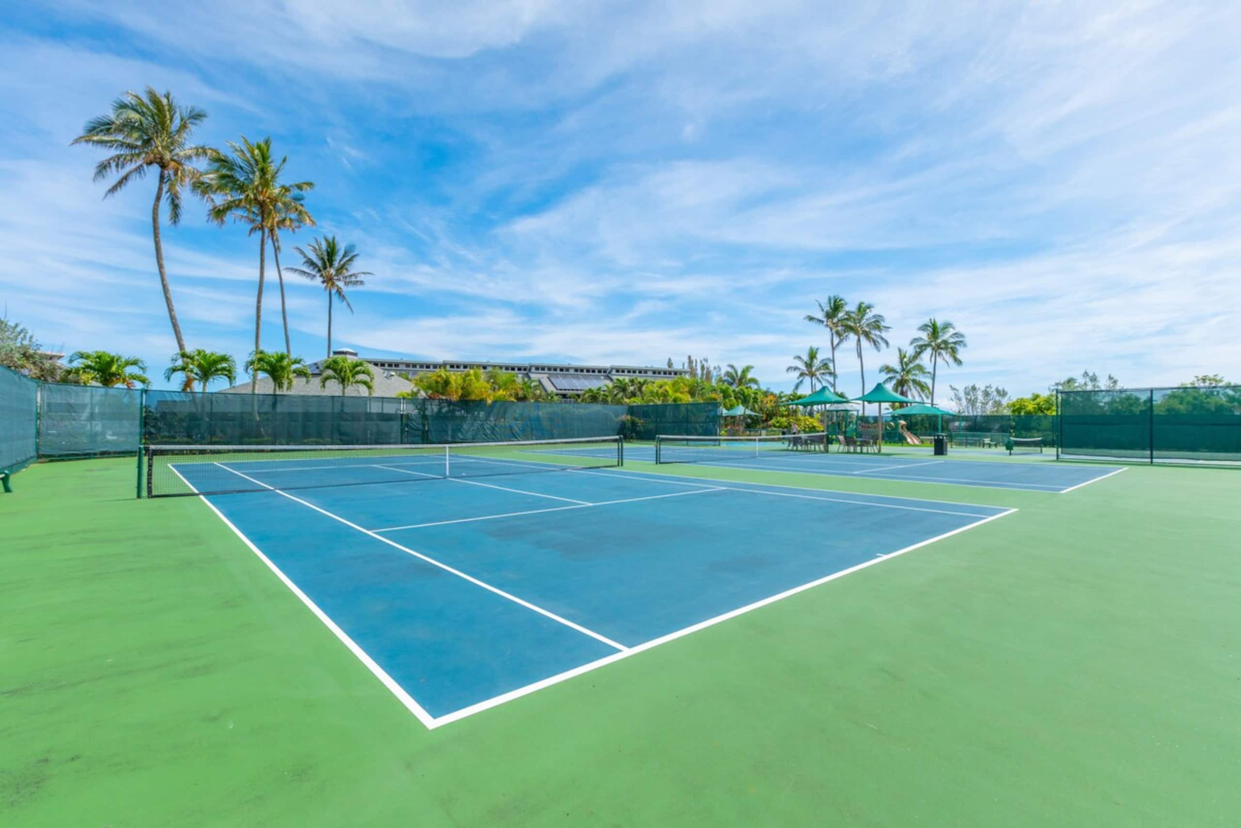 Hale Lani Makai nestled on Kauai's North Shore - Photo 25