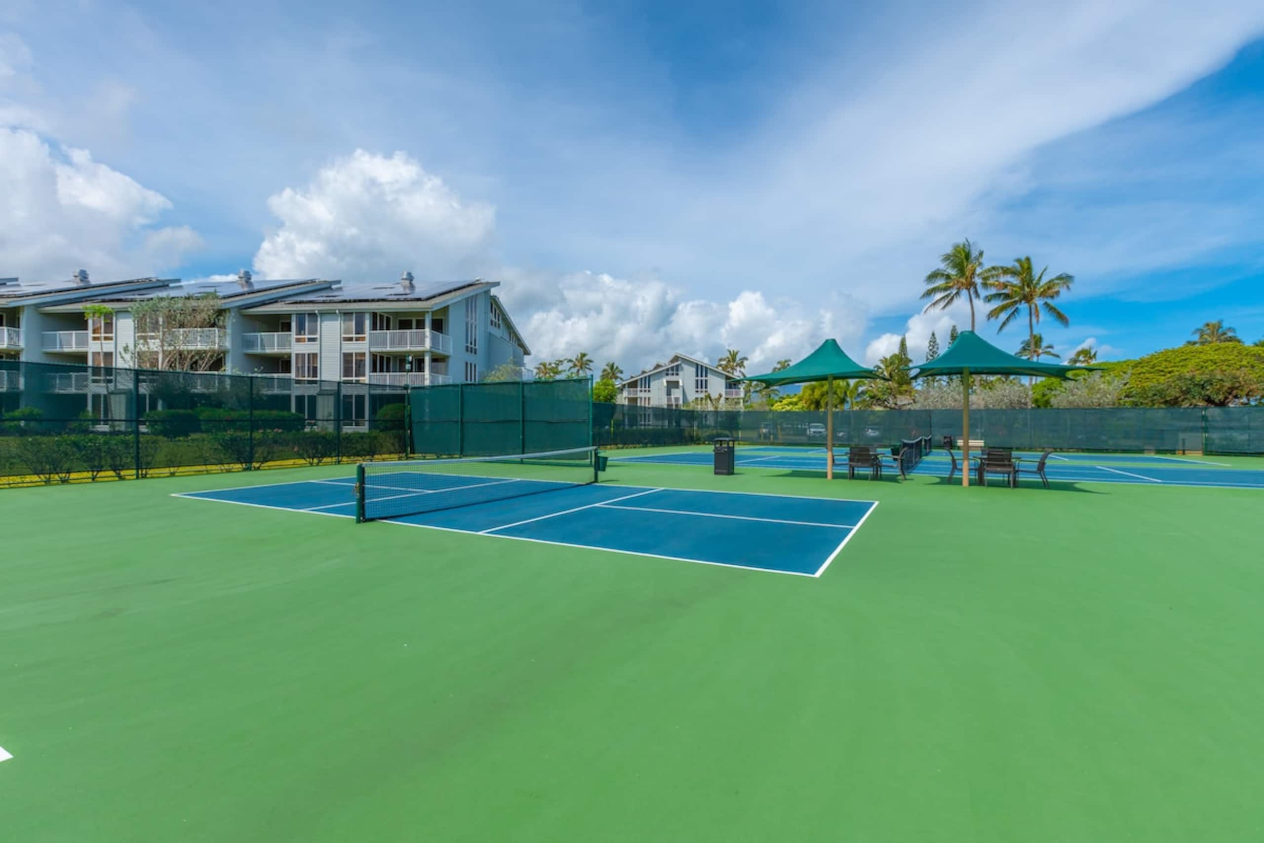 Hale Lani Makai nestled on Kauai's North Shore - Photo 28