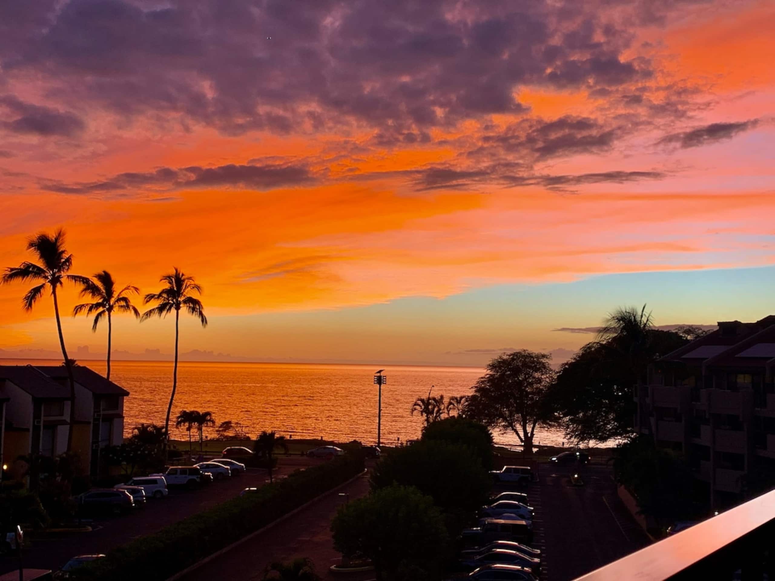 Beachfront Kihei condo w/ ocean views and pool - Photo 2