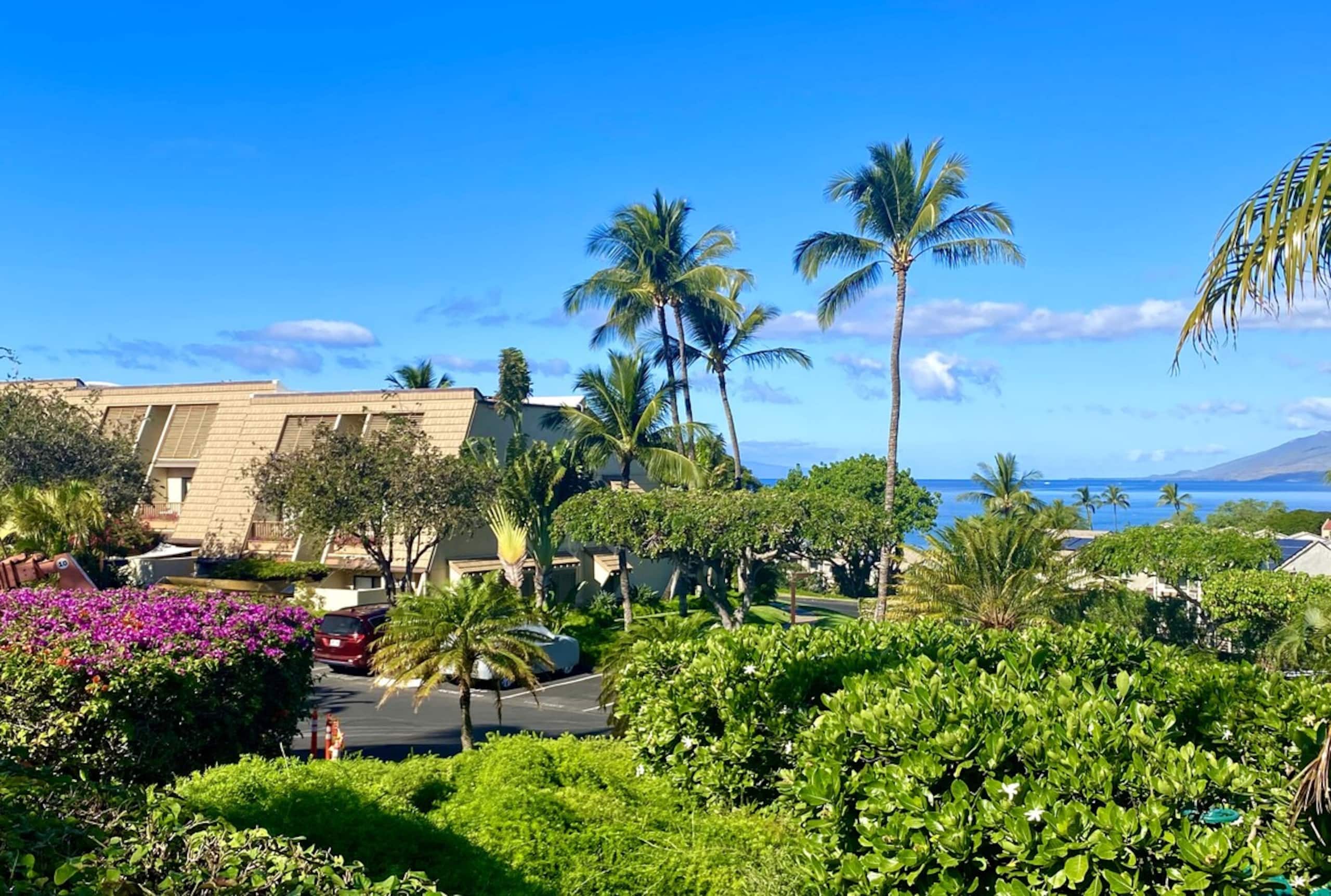 Ocean-view Maui Condo near Beach - Photo 10