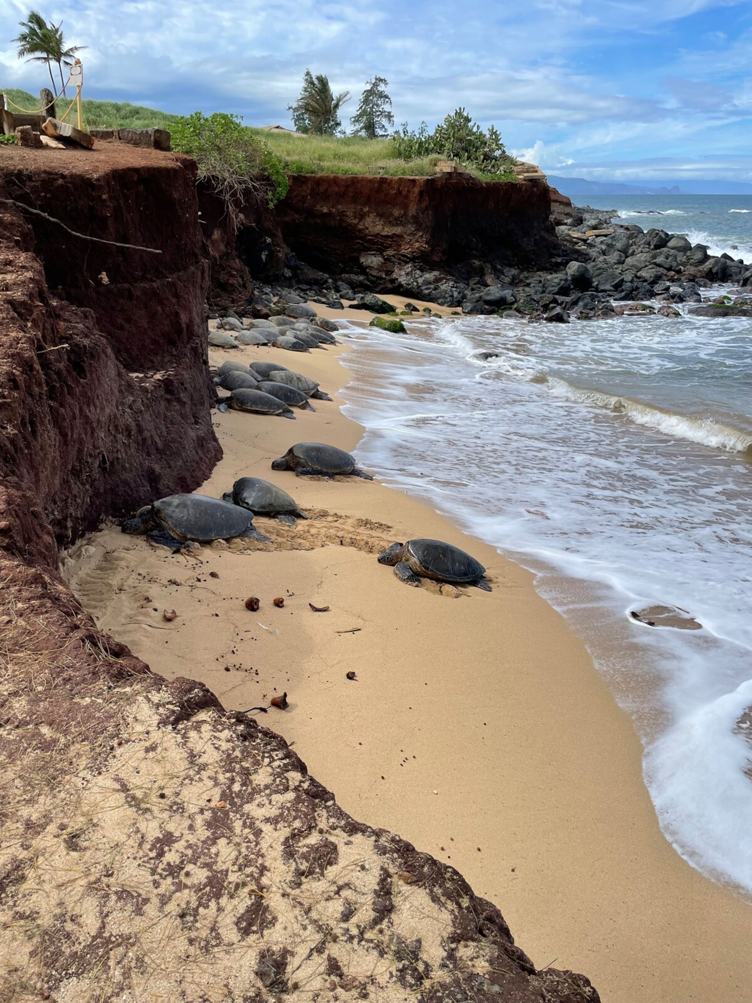 Beach/Oceanfront Property, Sleeps 5, Kihei Maui - Photo 13