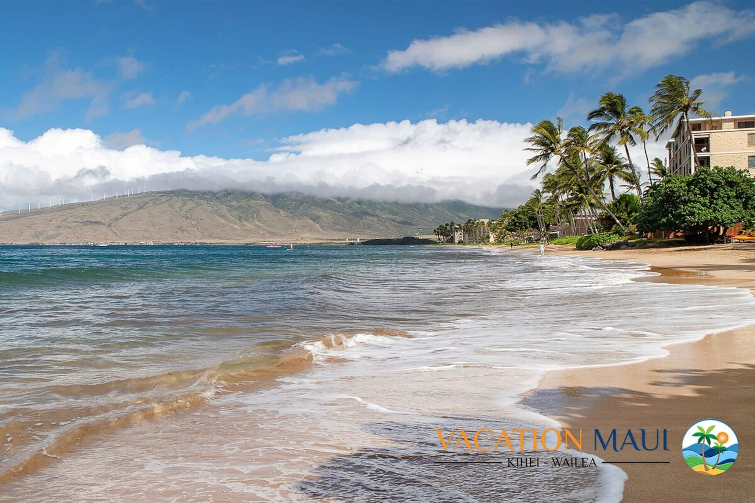 Menehune Shores 606 - Direct Ocean Front, Split AC - Photo 49