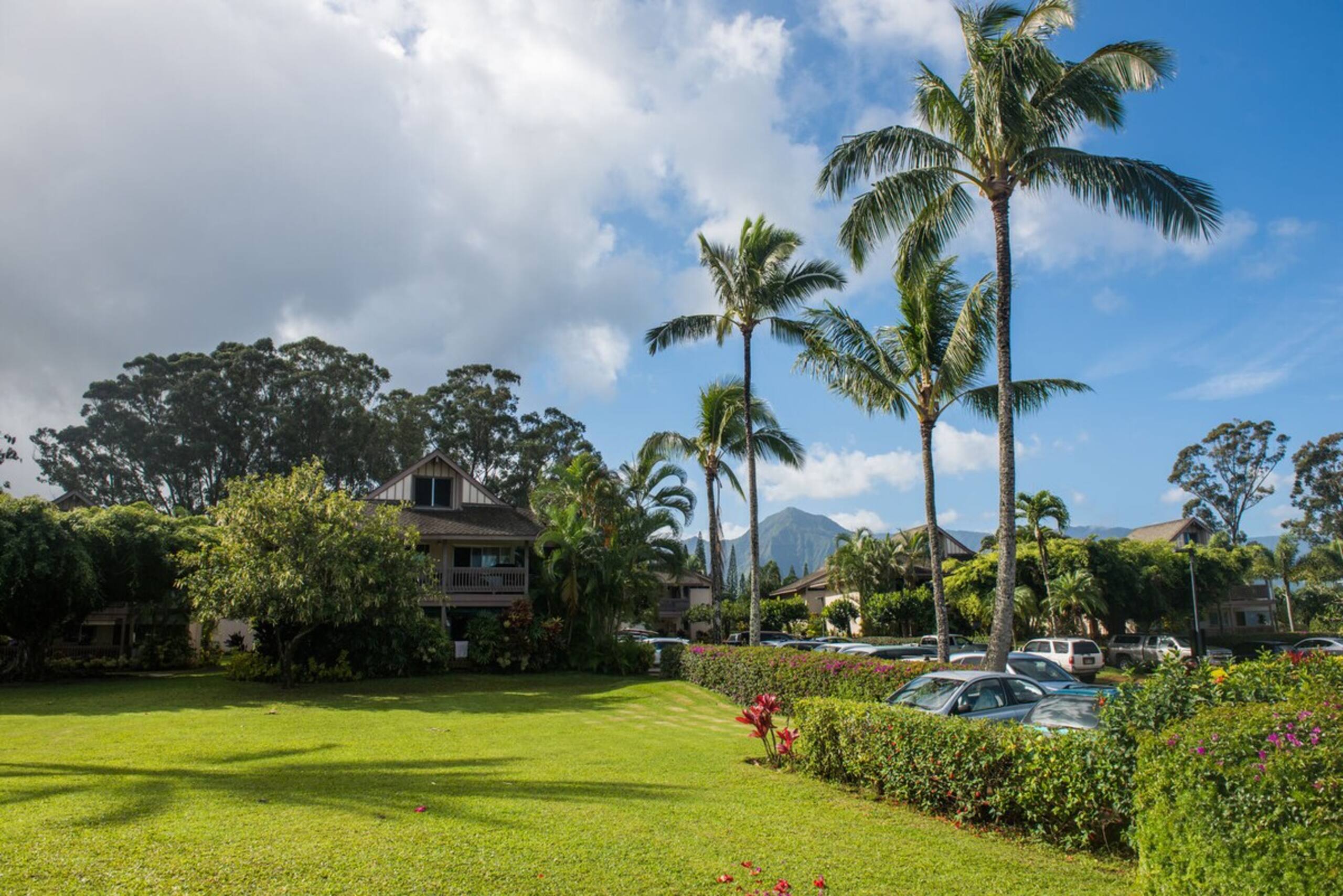 Bright Princeville Studio - Pool 209B - Photo 12